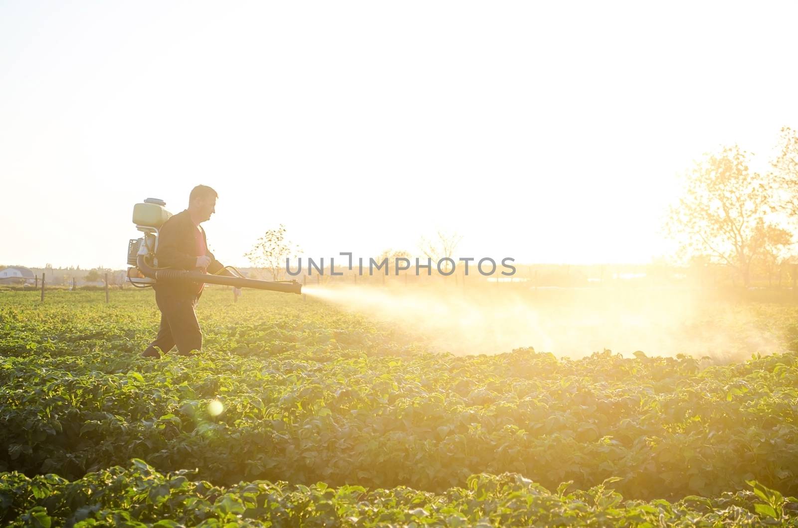 A farmer sprays a solution of copper sulfate on plants of potato bushes. Agriculture and agribusiness, agricultural industry. Fight against fungal infections and insects. Use chemicals in agriculture. by iLixe48