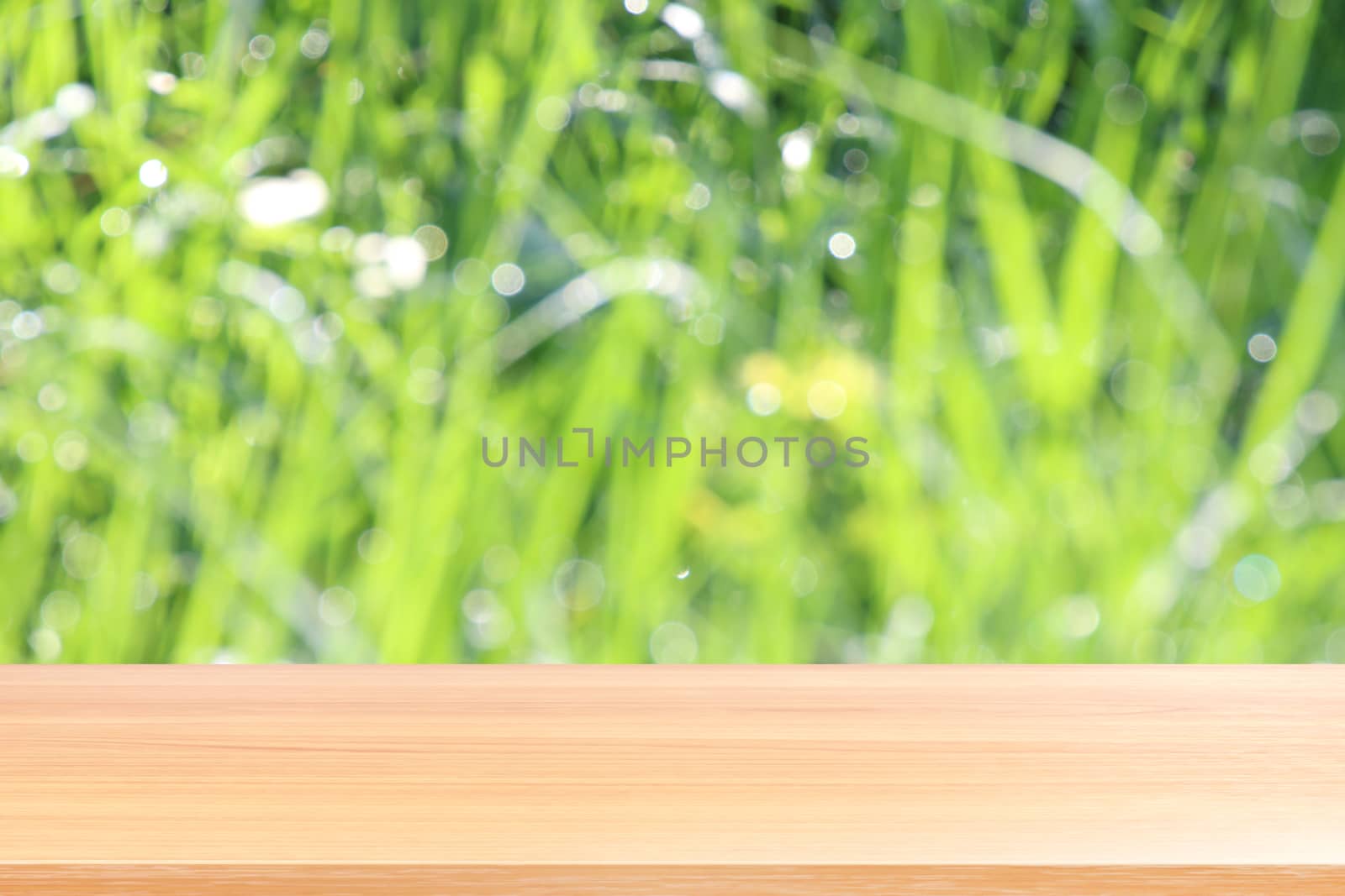 wood plank on blurred bokeh soft grass nature background, empty wood table floors on bokeh of dew grass natural green, wood table board empty front background grass abstract light green