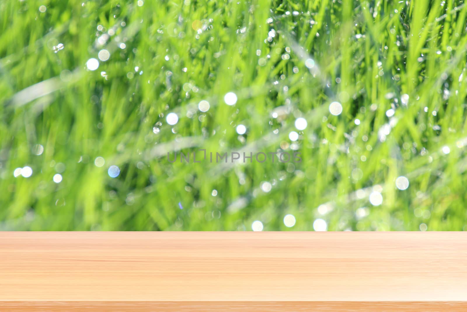 wood plank on blurred bokeh soft grass nature background, empty wood table floors on bokeh of dew grass natural green, wood table board empty front background grass abstract light green