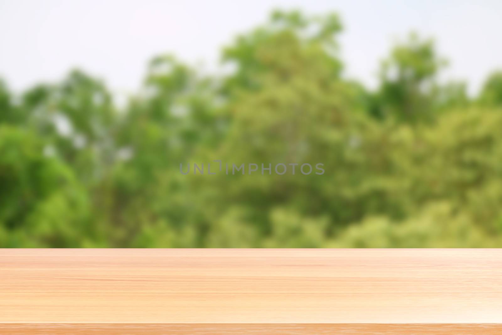 empty wood table floors on blurred tree nature green forest background, wood table board empty front blur tree, wooden plank blank with perspective brown wood table for mock up display products