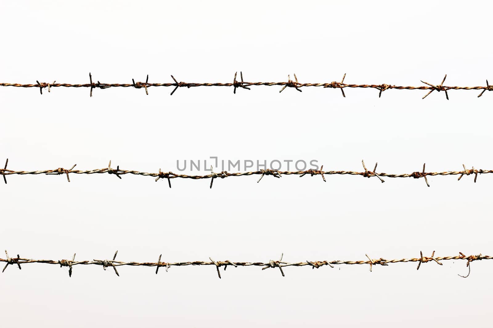 Rusty barbed wire detention center isolated on white