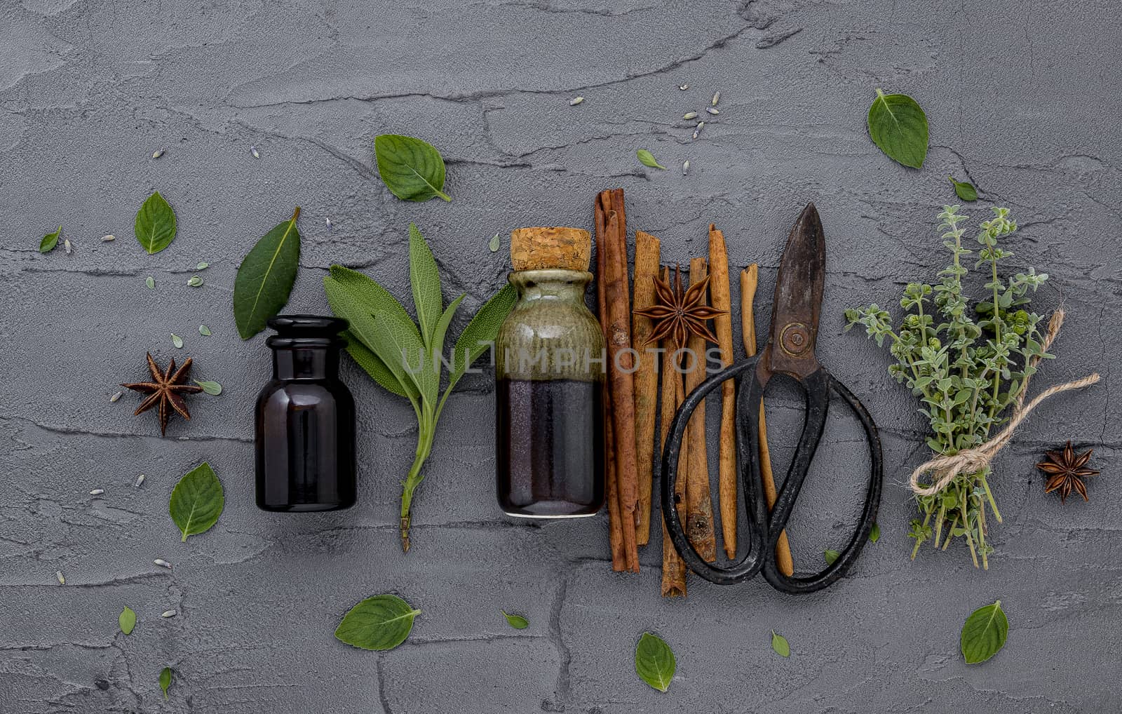 Bottle of essential oil with fresh herbal sage, rosemary, lemon thyme ,thyme ,green mint and peppermint setup with flat lay on dark concrete background.