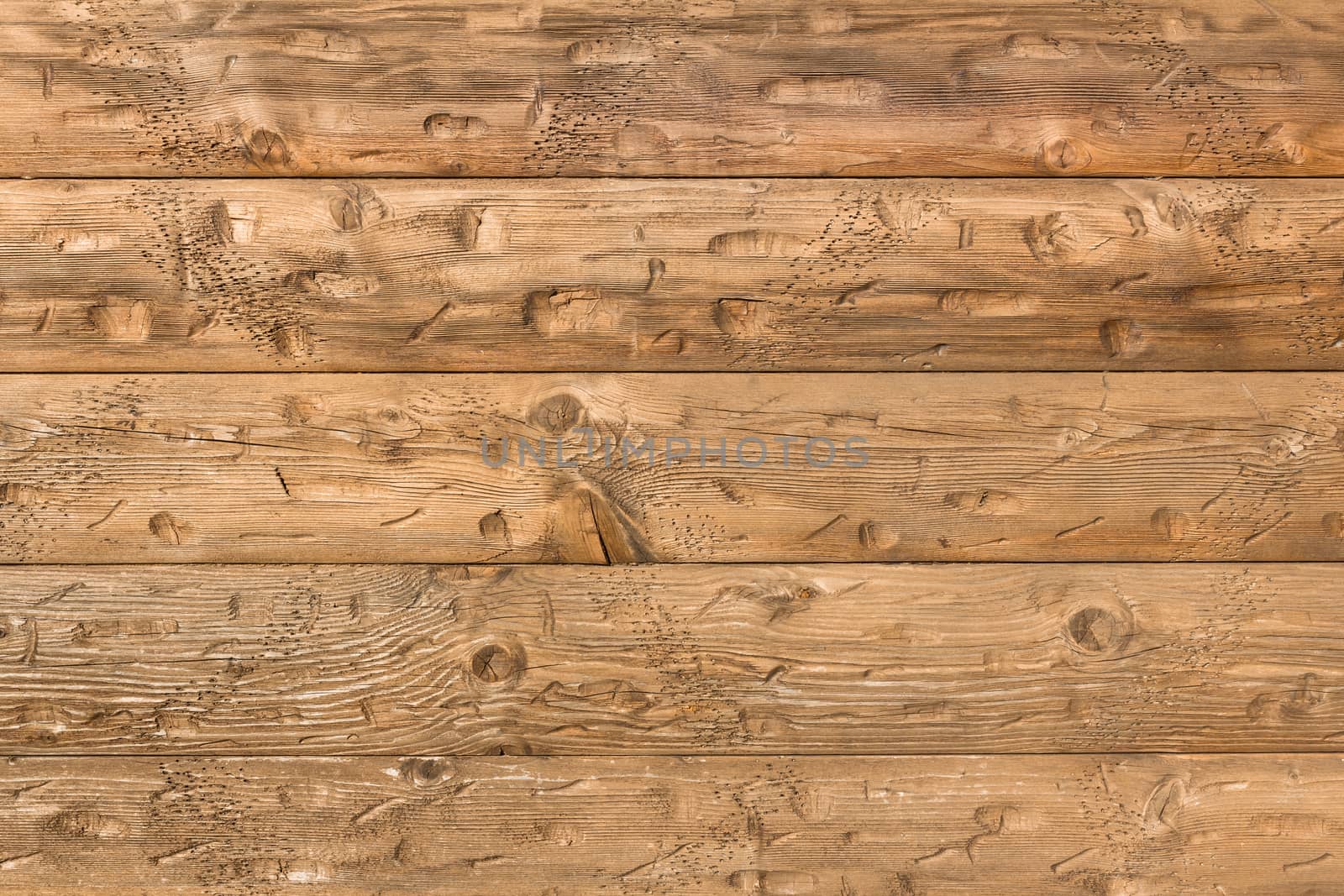 Texture of brown wood by germanopoli