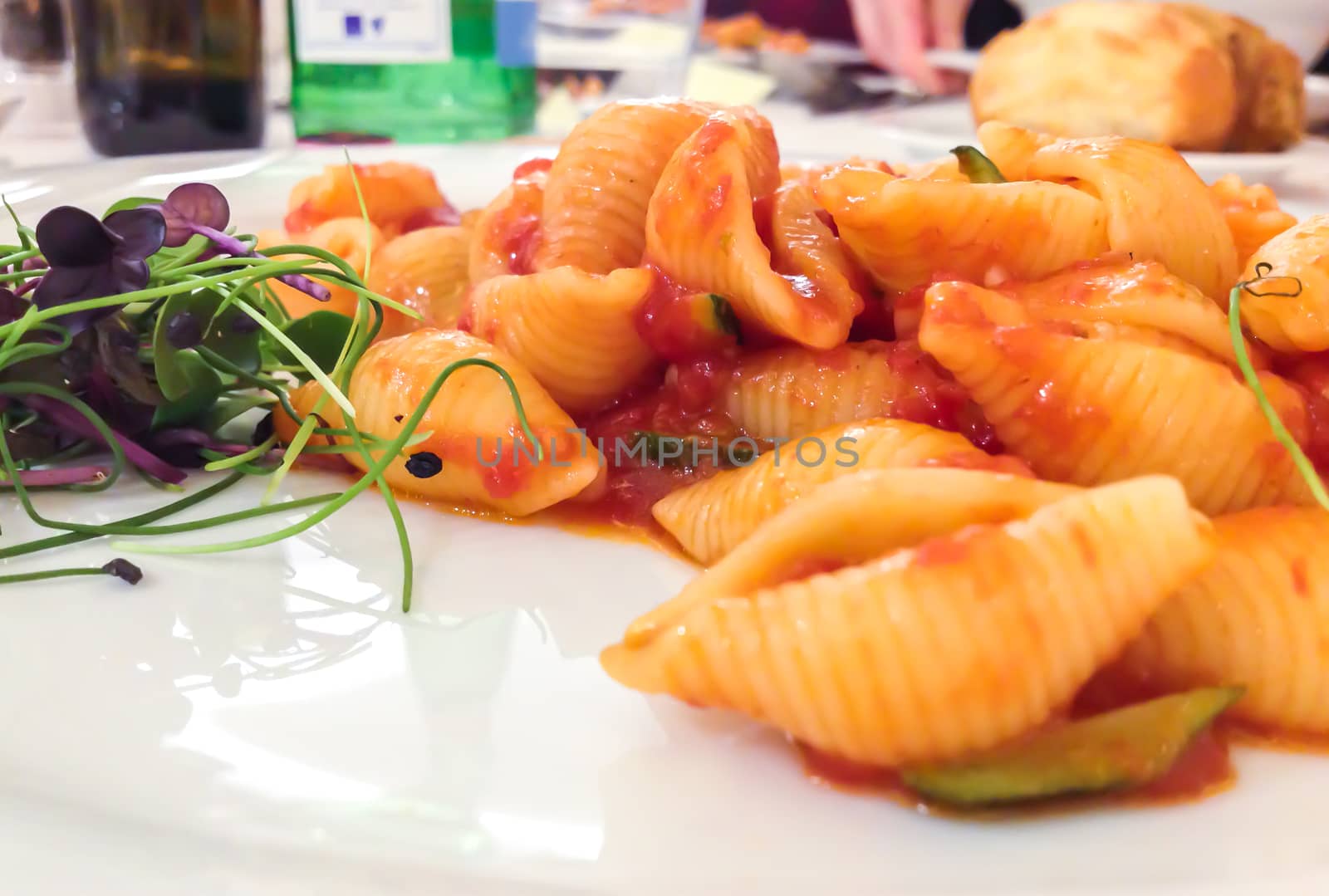 Italian pasta shells with vegetables and tomato sauce. Extreme shallow depth of field.