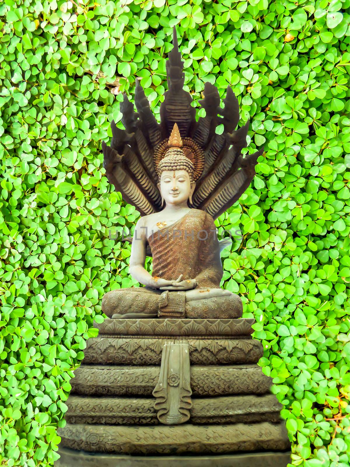 buddha Naga green clover background
