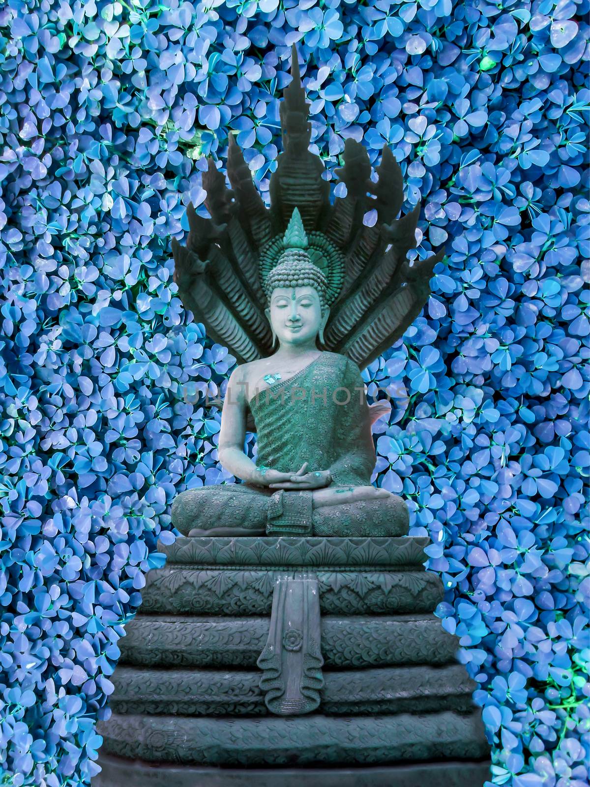 buddha Naga blue clover background