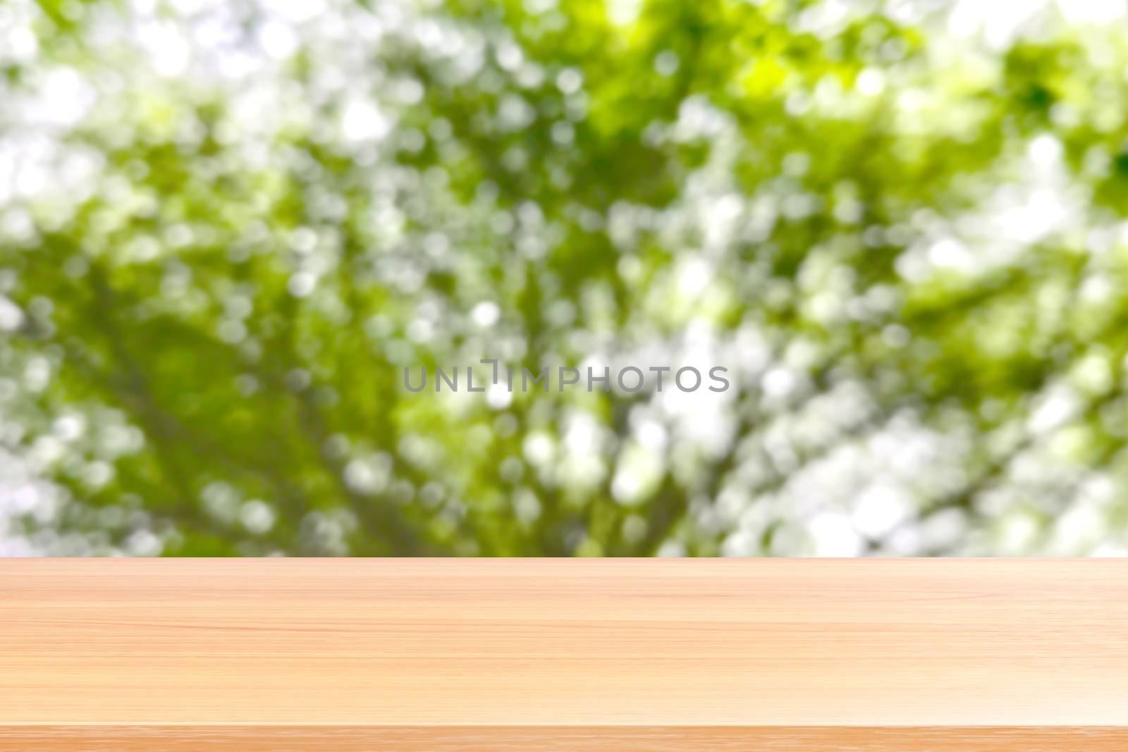 empty wood table floors on bokeh blurred tree nature green forest background, wood table board empty front blur tree, wooden plank blank with perspective brown wood table for mock up display products