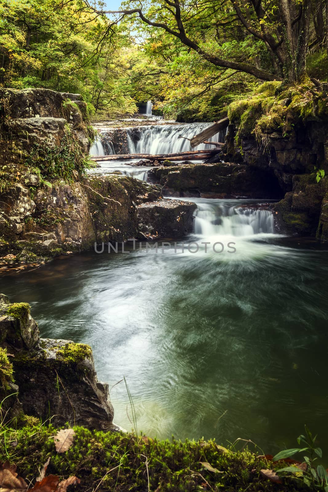 Horseshoe Falls waterfall Wales by ant