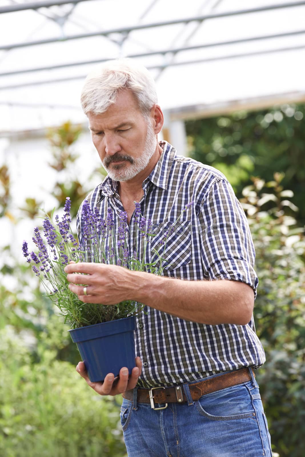 Mature Man Choosing Plants At Garden Center by HWS