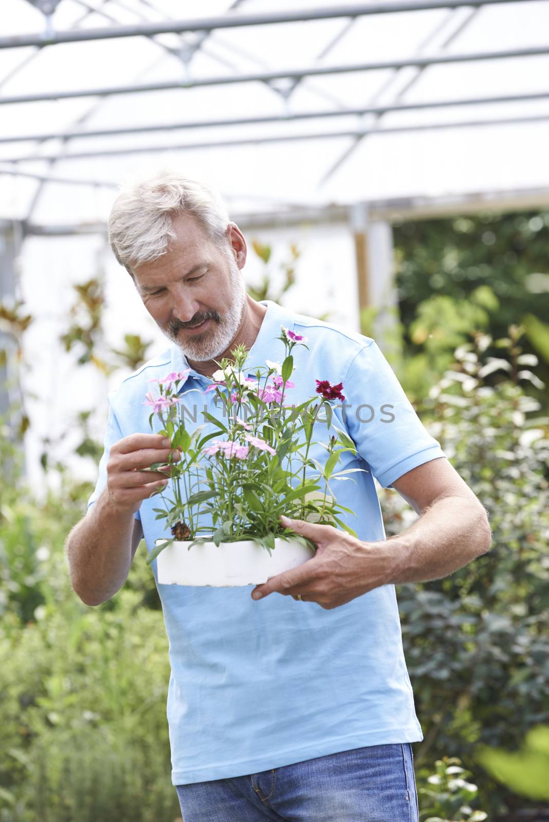 Male Employee At Garden Center Holding Plant by HWS