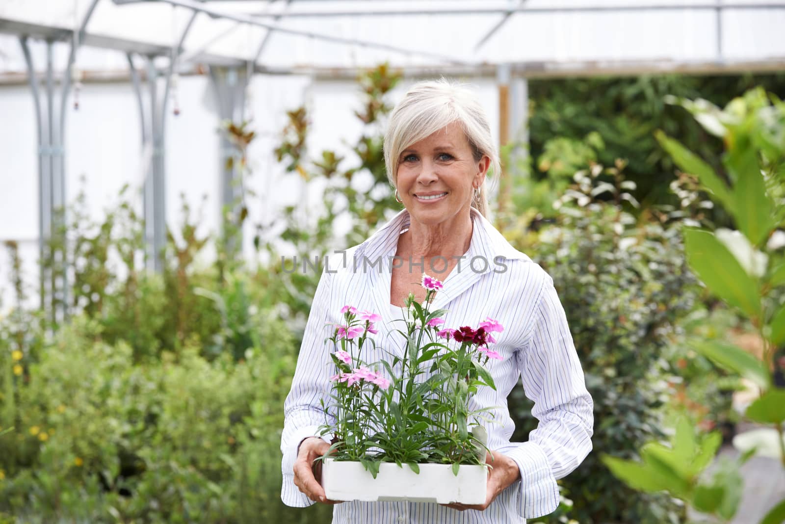 Mature Woman Choosing Plants At Garden Center