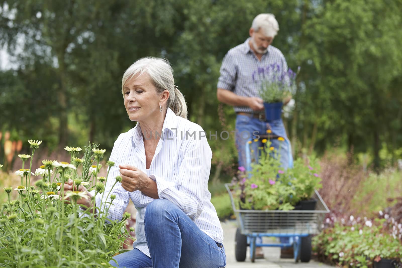 Mature Couple Shopping At Garden Centre