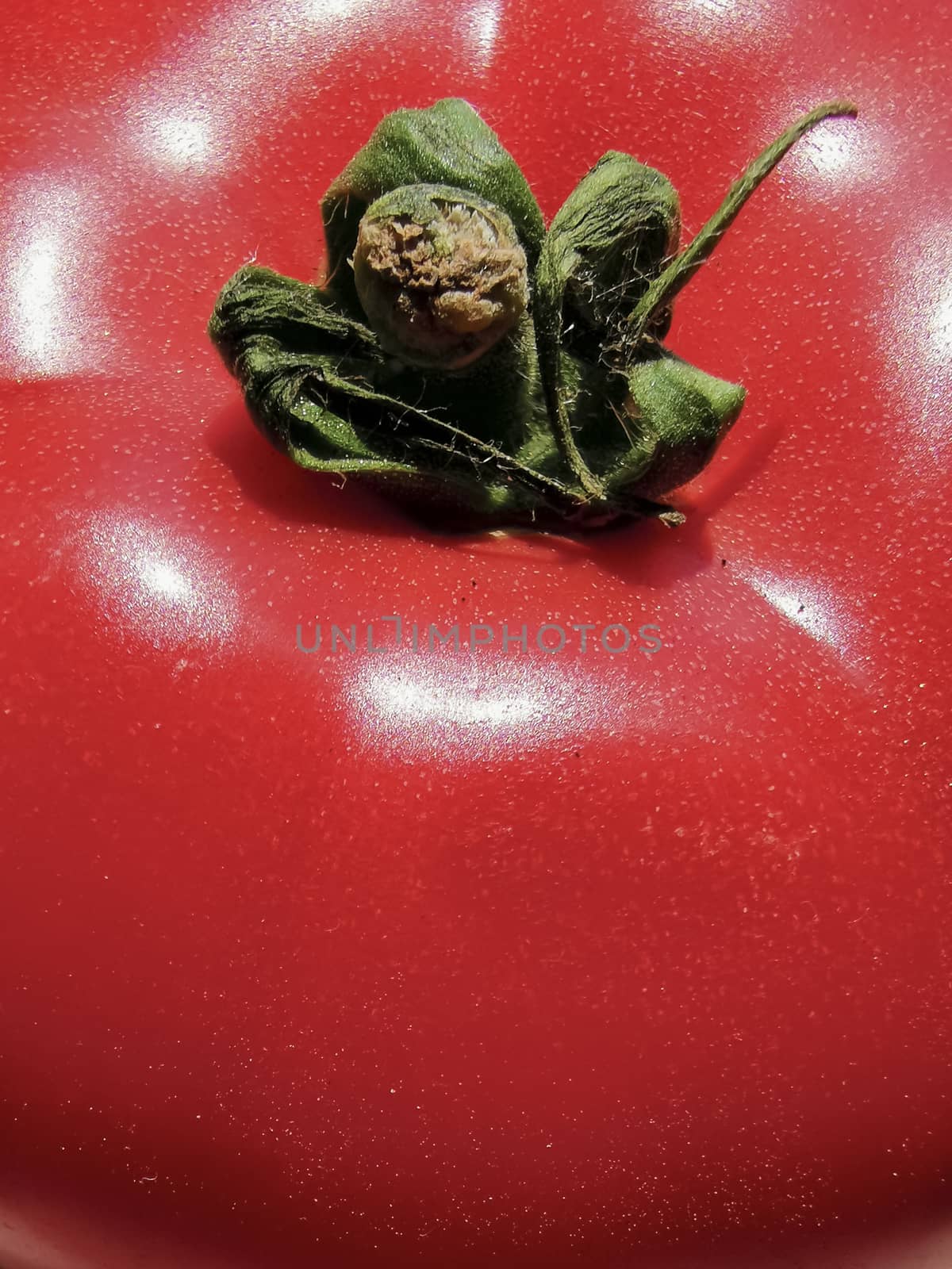 Tomato Close-up view. simgle fresh ripe red tomato top view background.Close up shot of healthy food ingredient.