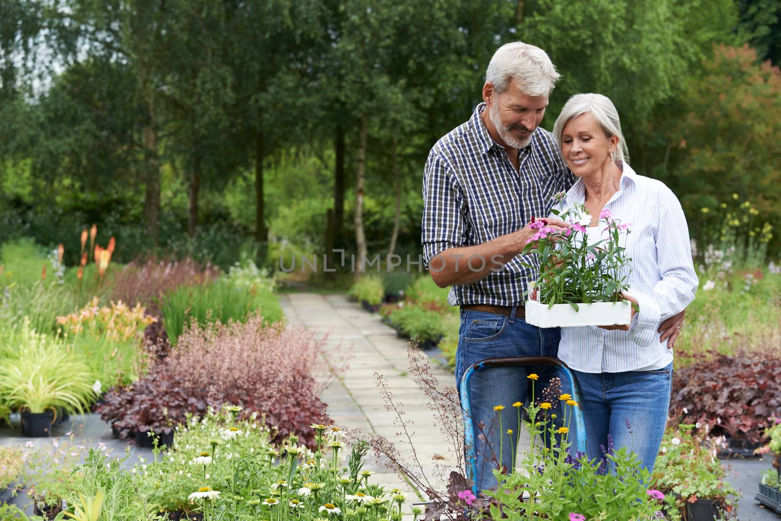 Mature Couple Shopping For Plants At Garden Center