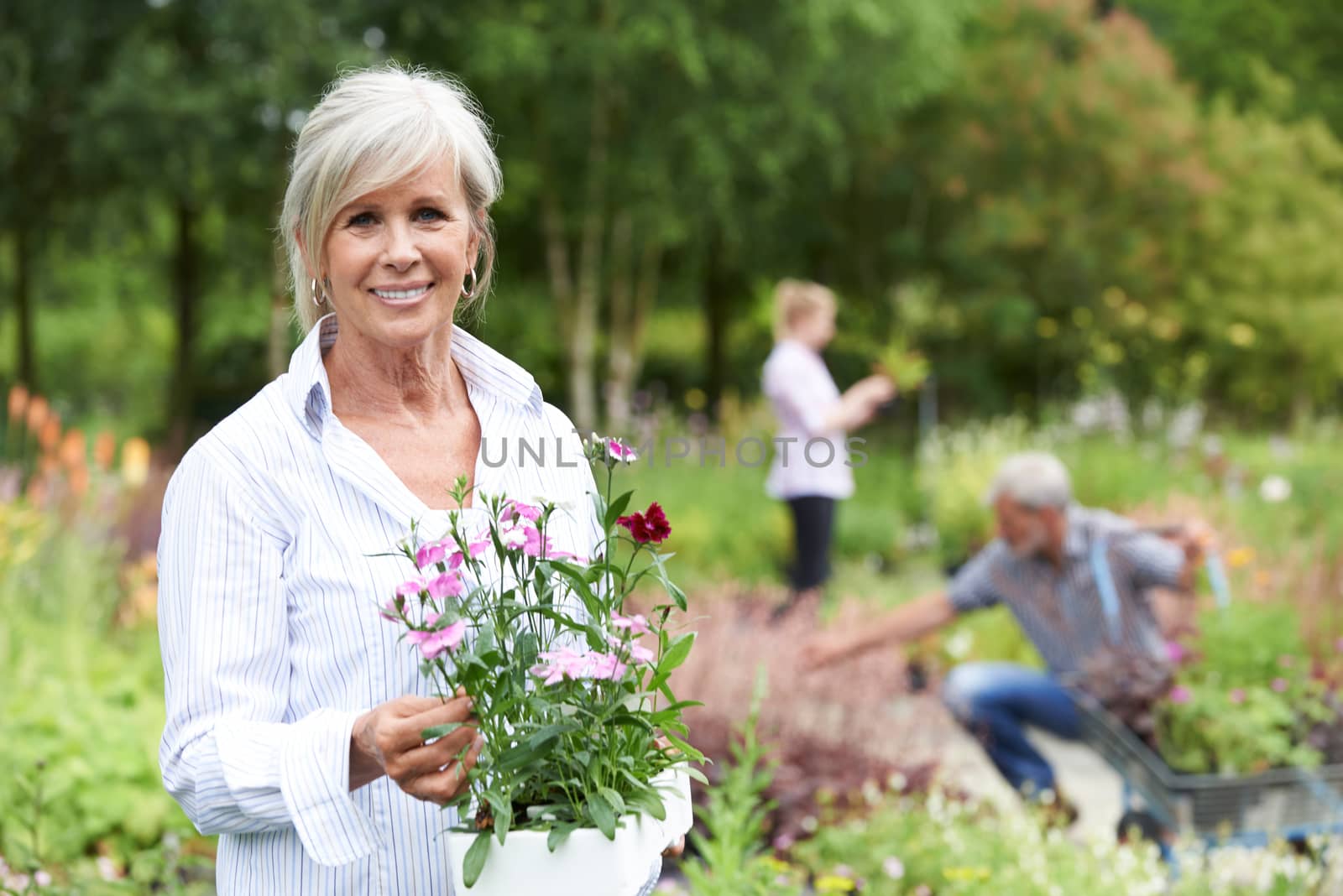 Mature Woman Choosing Plants At Garden Center by HWS