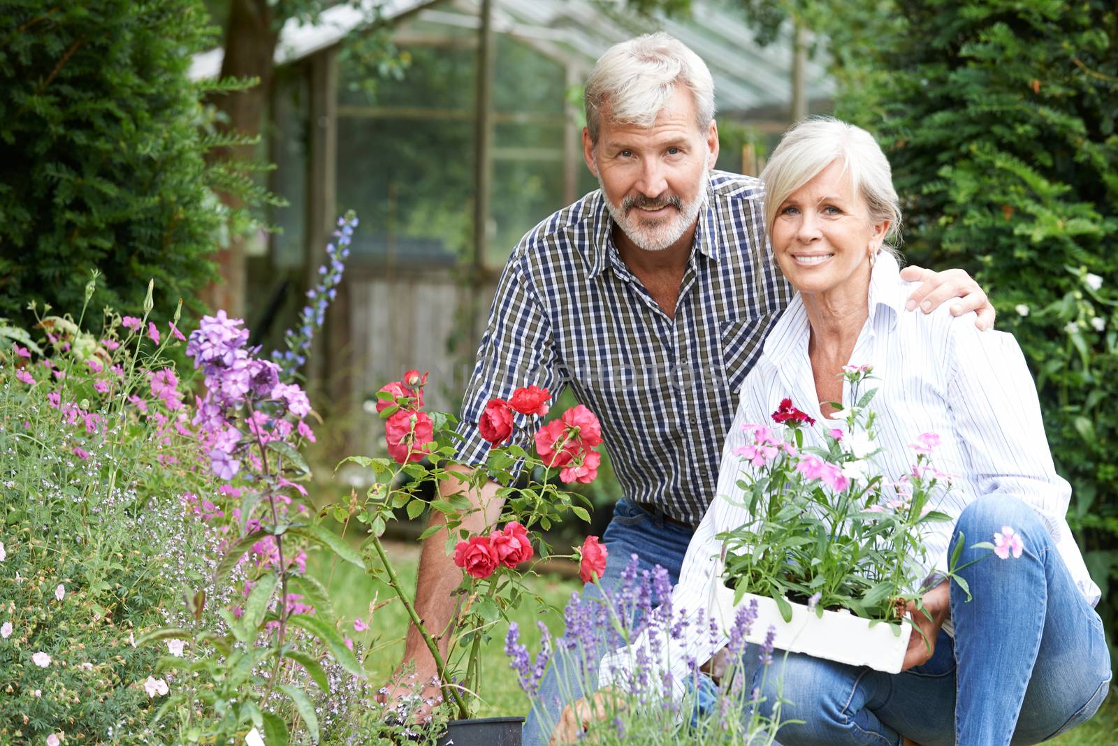 Mature Couple Planting Out Plants In Garden by HWS