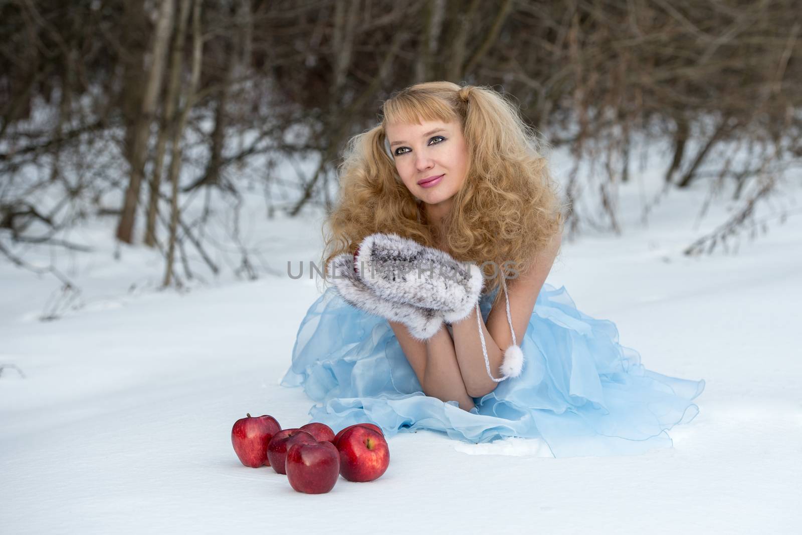 Appealing young Snow Maiden - the grandaughter of Father Frost - in transparent blue dress poses at winter forest with apples