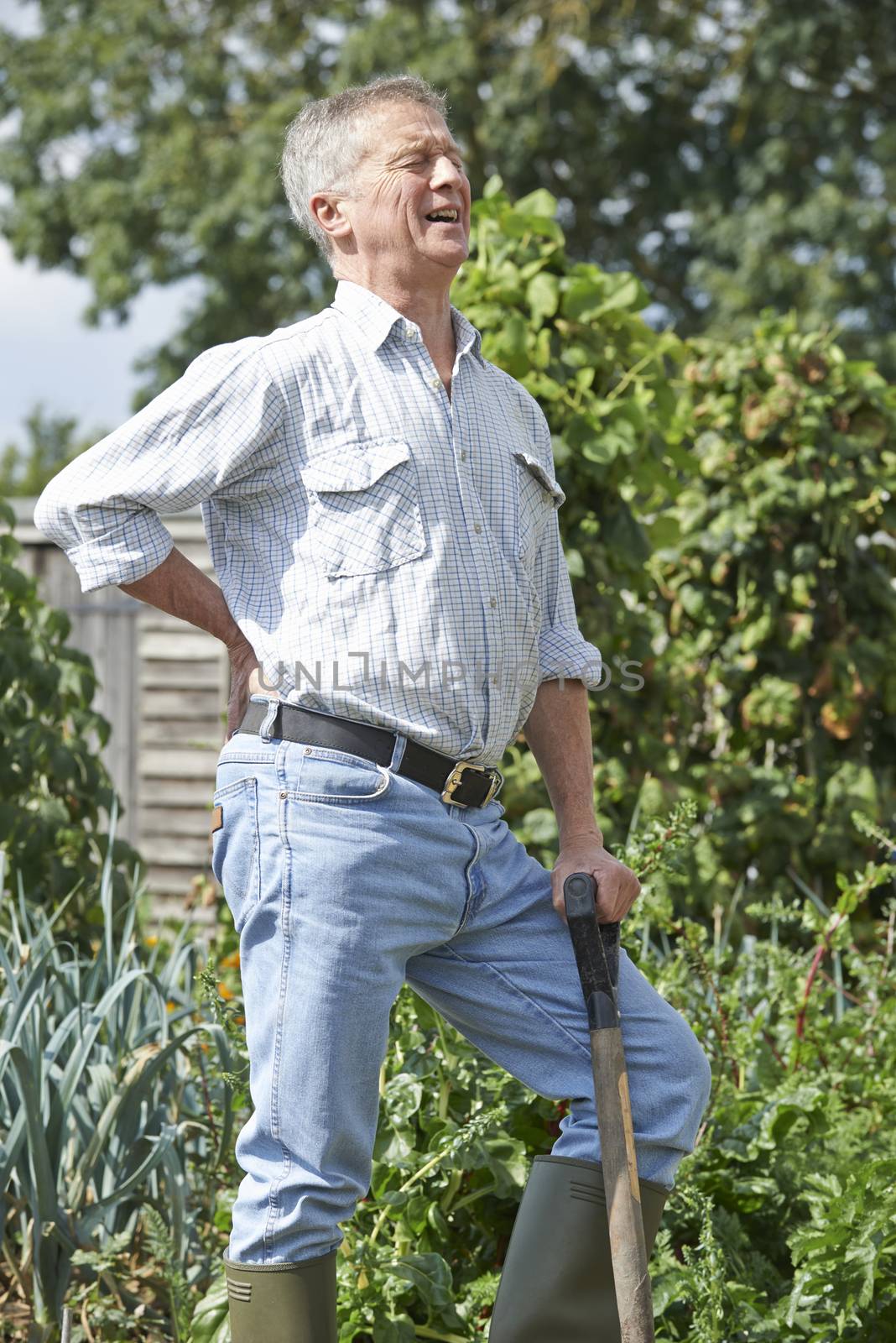 Senior Man Suffering From Back Pain Whilst Gardening