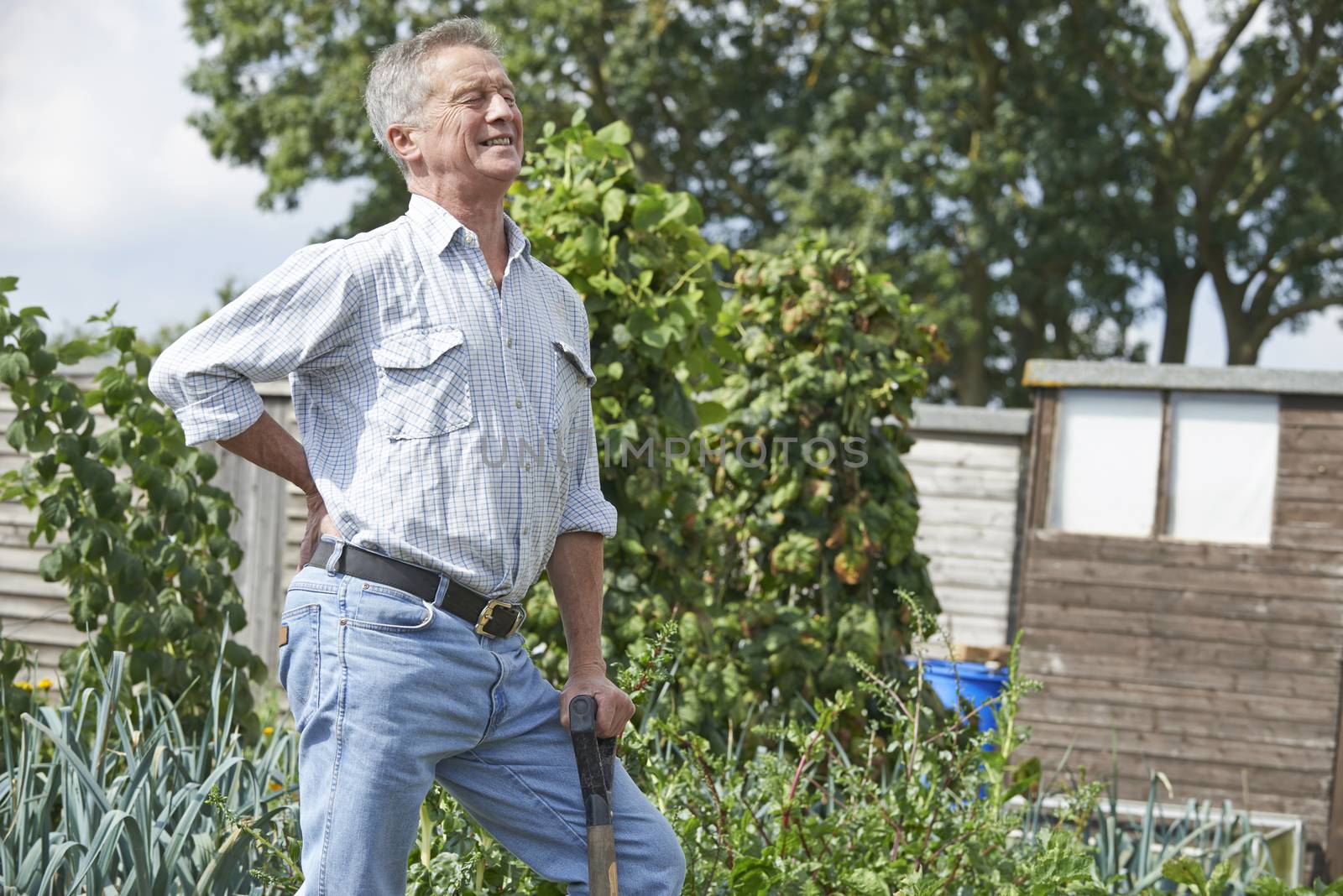 Senior Man Suffering From Back Pain Whilst Gardening