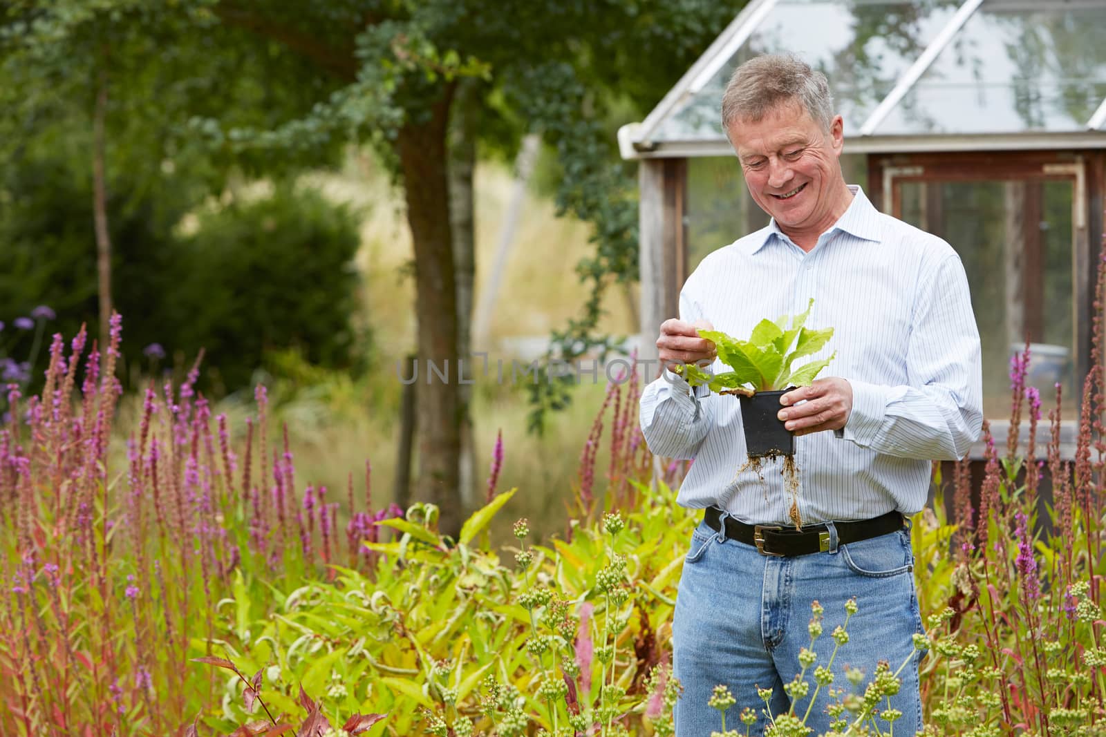 Senior Man Relaxing In Garden At Home by HWS