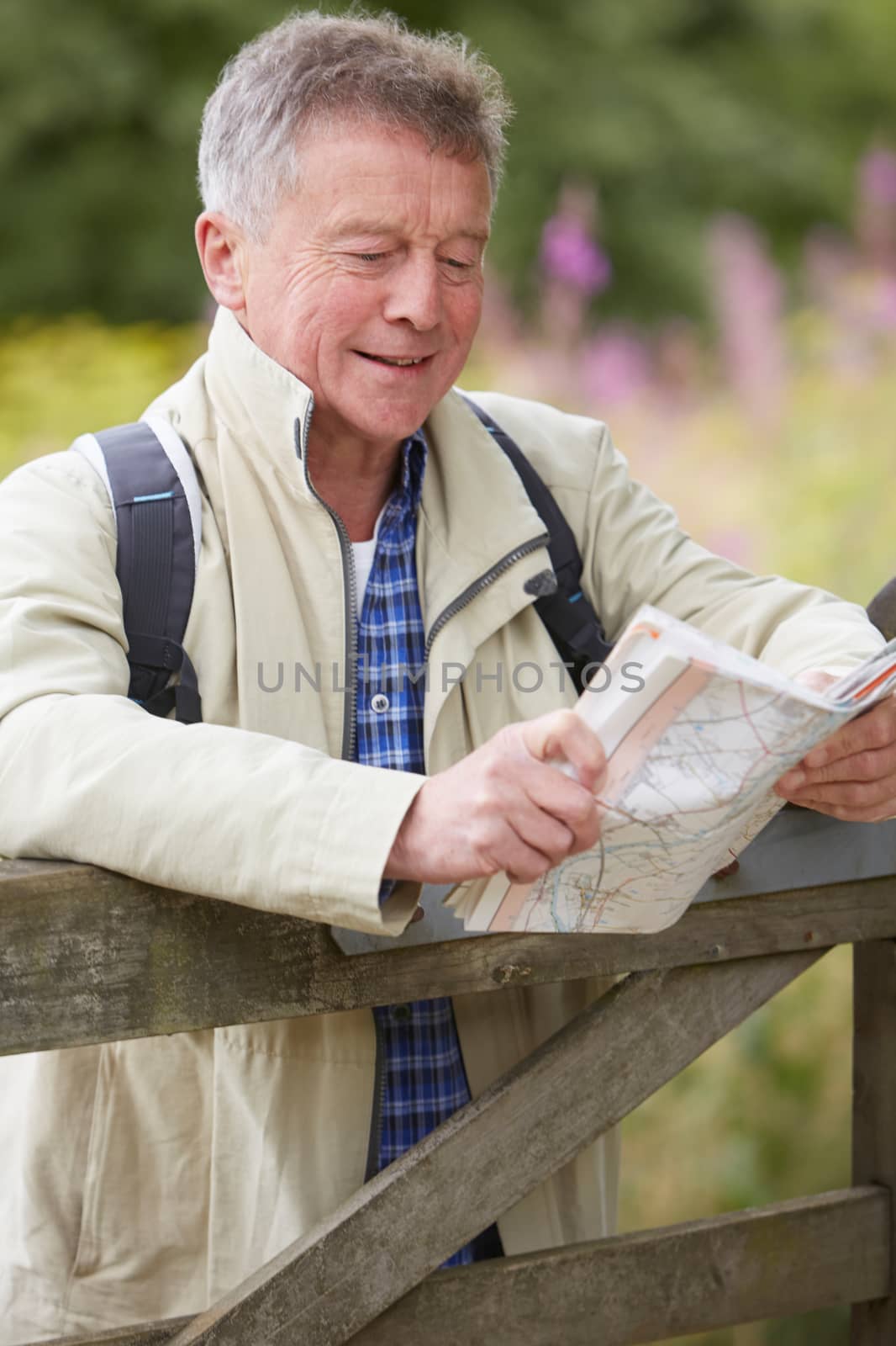 Senior Man Hiking In Countryside