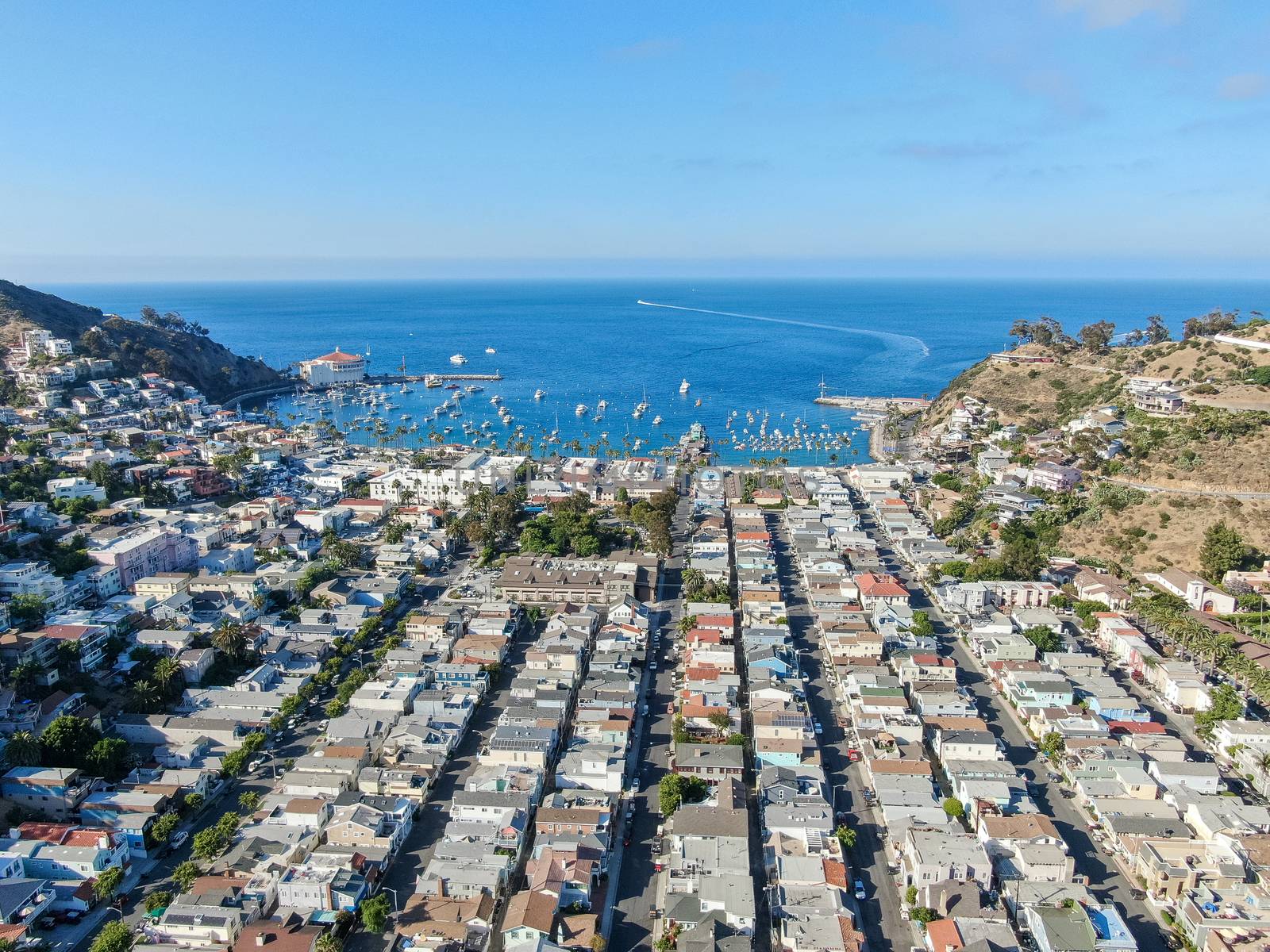 Aerial view of Avalon downtown and bay in Santa Catalina Island, USA by Bonandbon