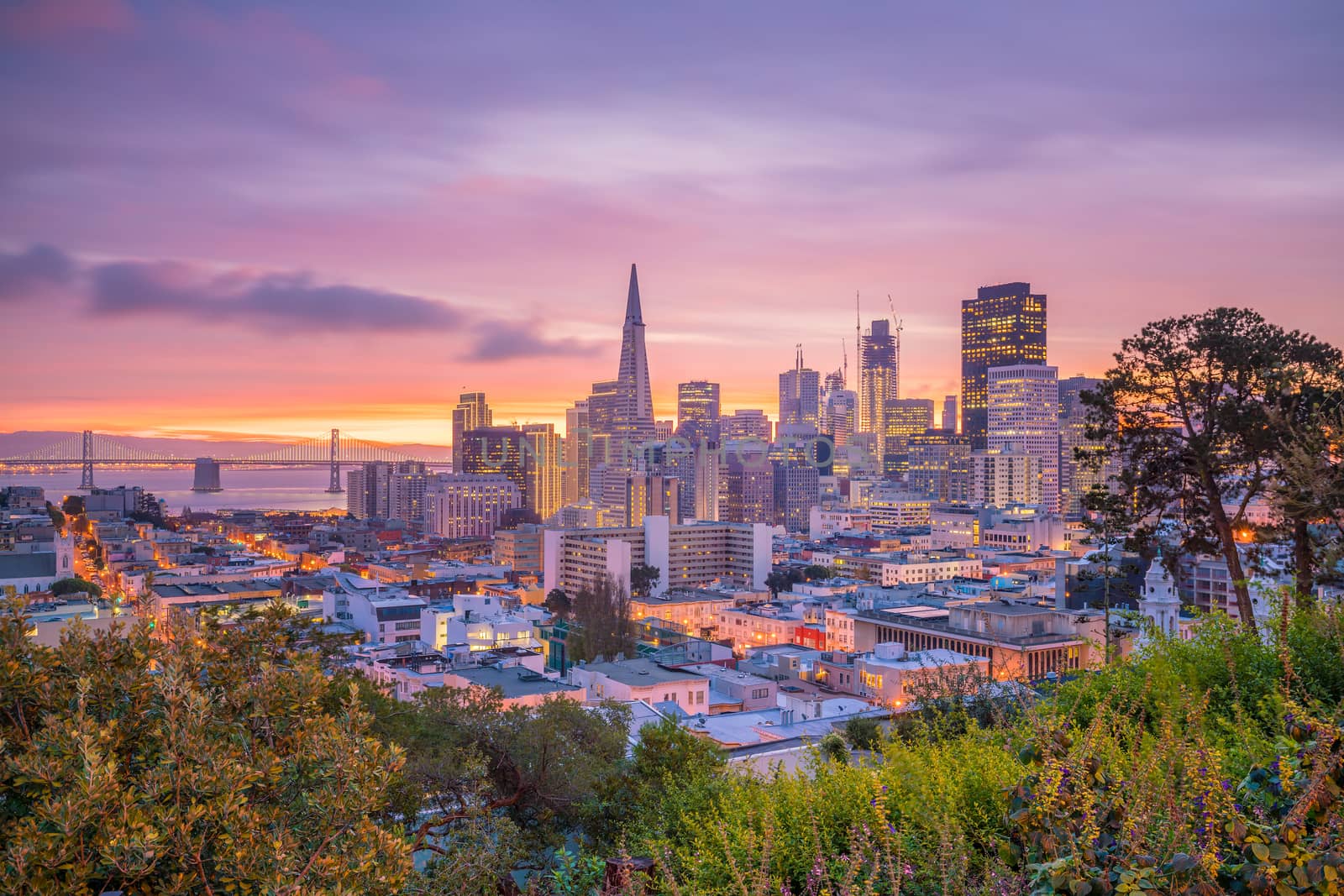 Beautiful view of business center in downtown San Francisco in USA at twilight