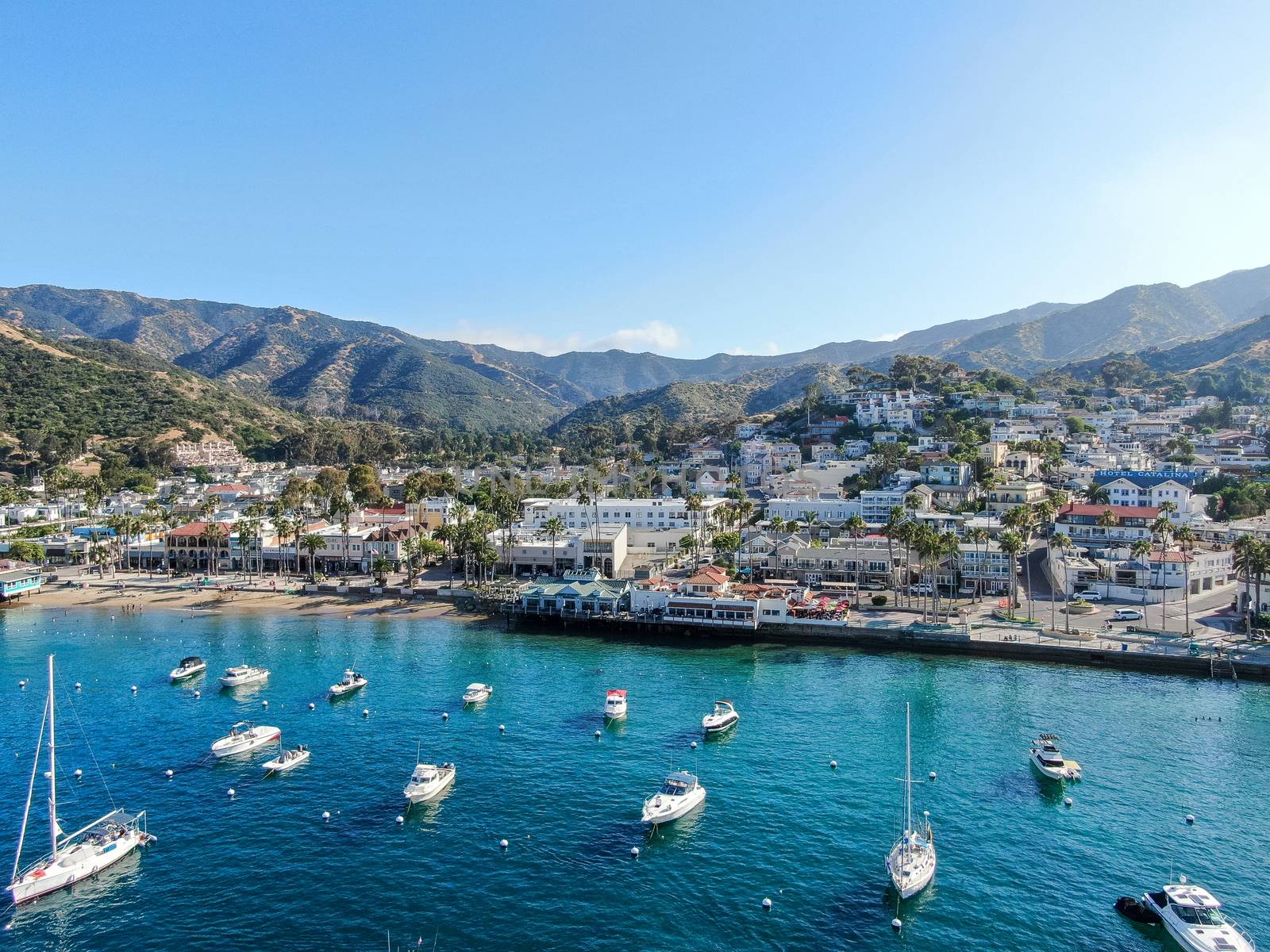 Aerial view of Avalon downtown and bay in Santa Catalina Island, USA by Bonandbon