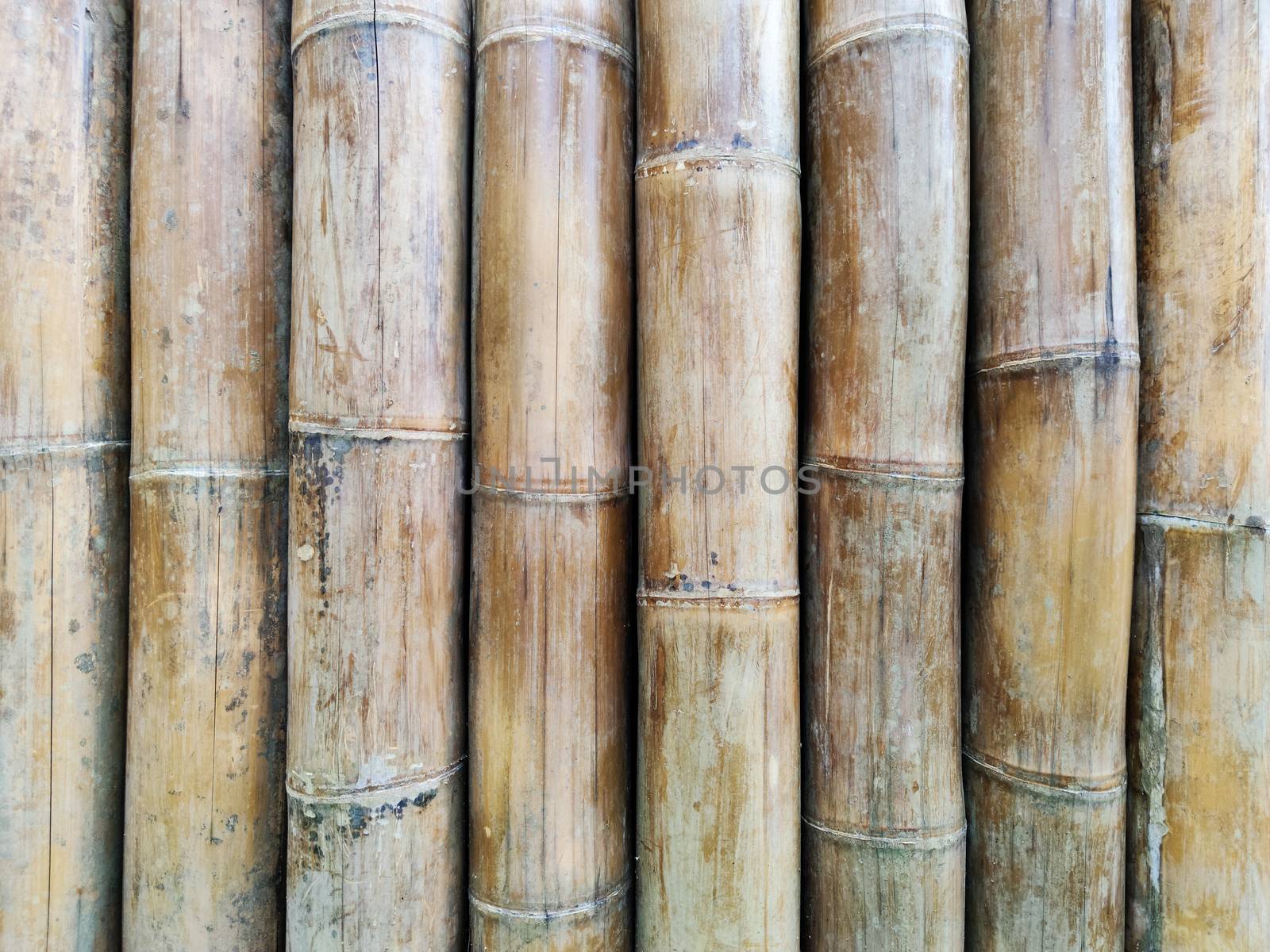 close-up brown bamboo use for background or backdrop. by tidarattj