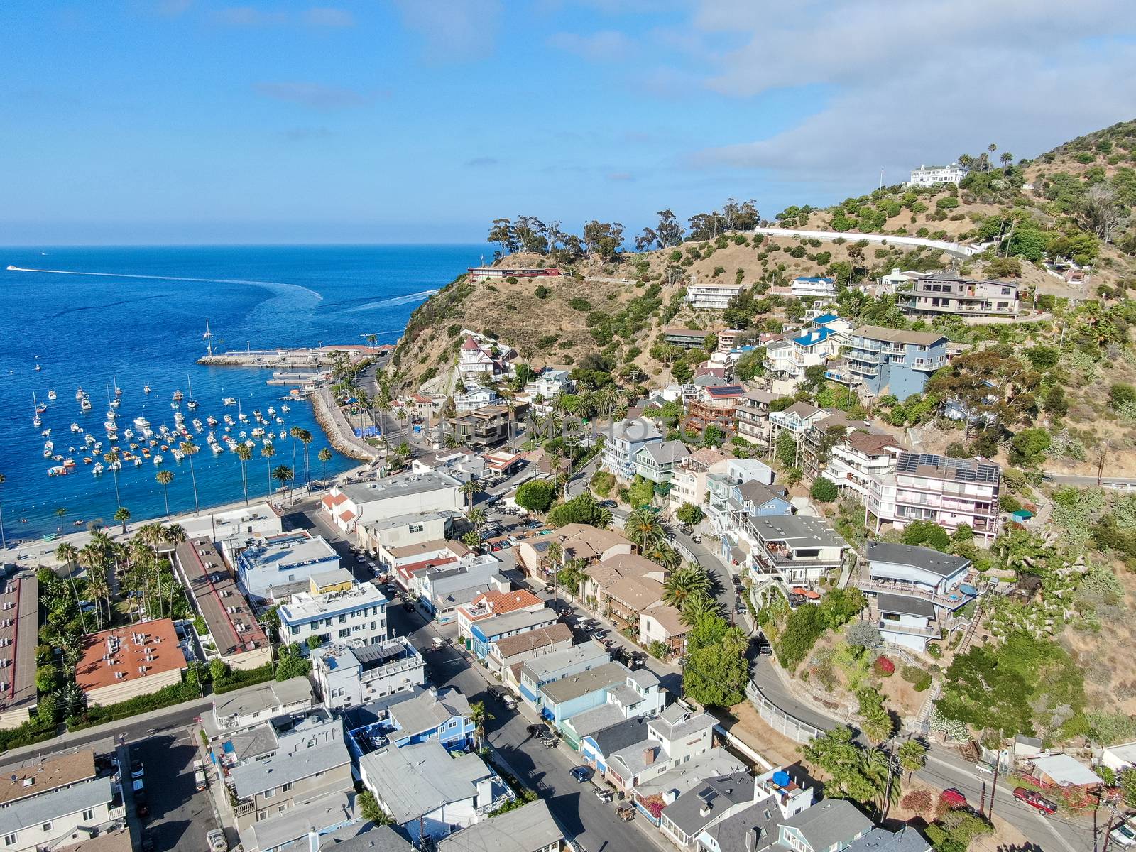 Aerial view of Avalon downtown with their houses on the cliff in Santa Catalina Island, USA by Bonandbon