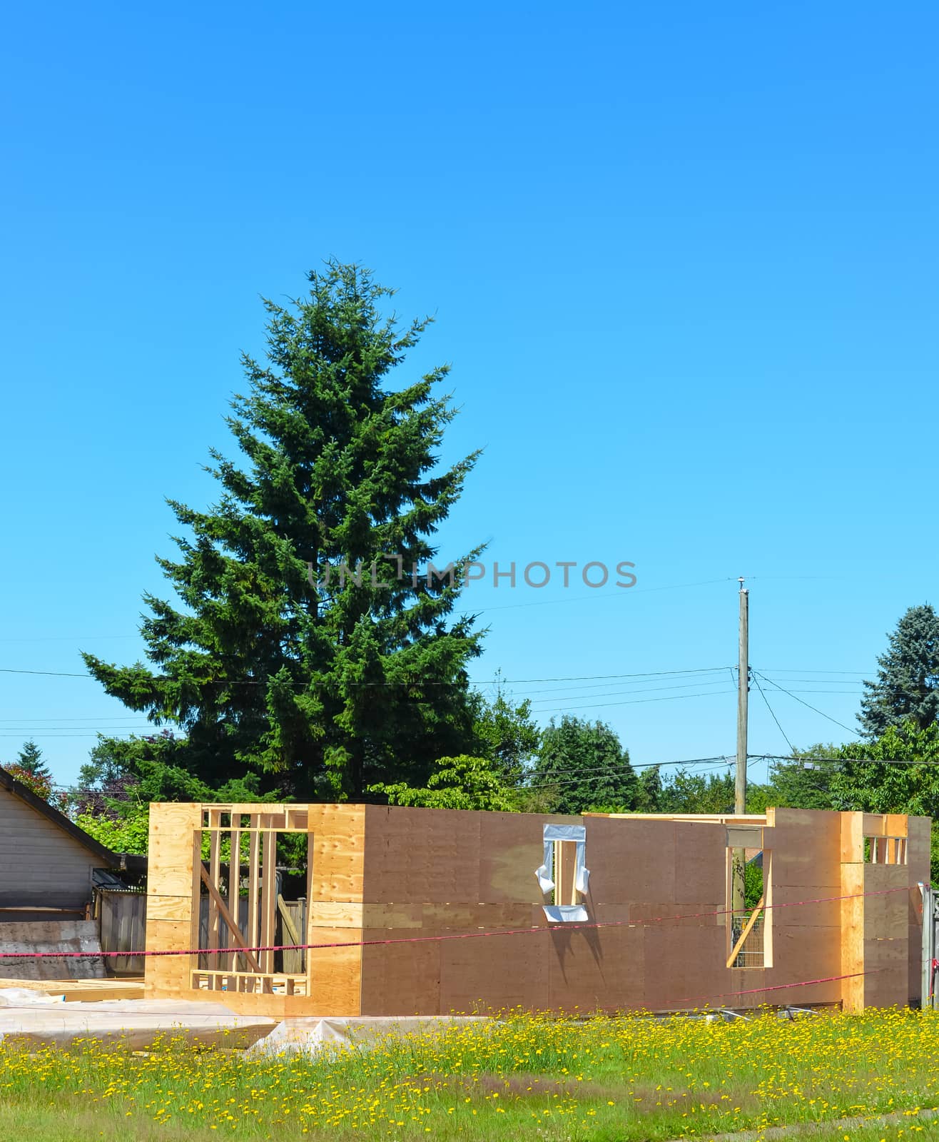 Detached family home under construction with fir tree on back side