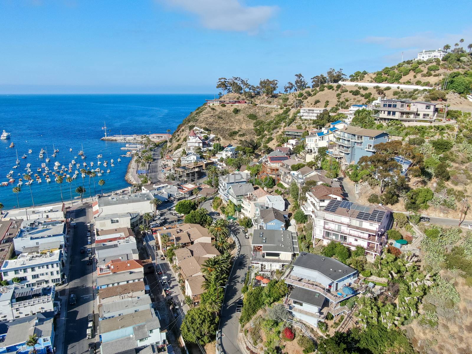 Aerial view of Avalon downtown with their houses on the cliff in Santa Catalina Island, USA by Bonandbon