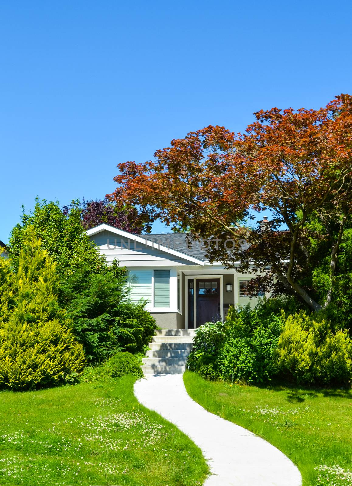 Concrete pathway to a family house on a sunny day in Vancouver, Canada