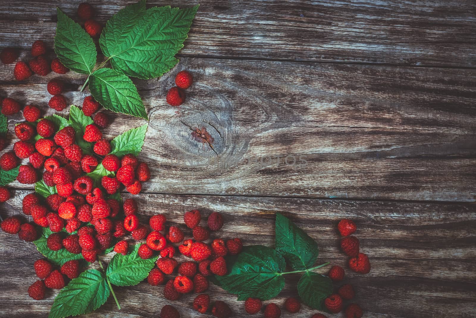 Red fresh raspberries on brown rustic wood background. Natural ripe organic berries with peduncles, green leaves and wooden fork, top view, flat lay with copy space.