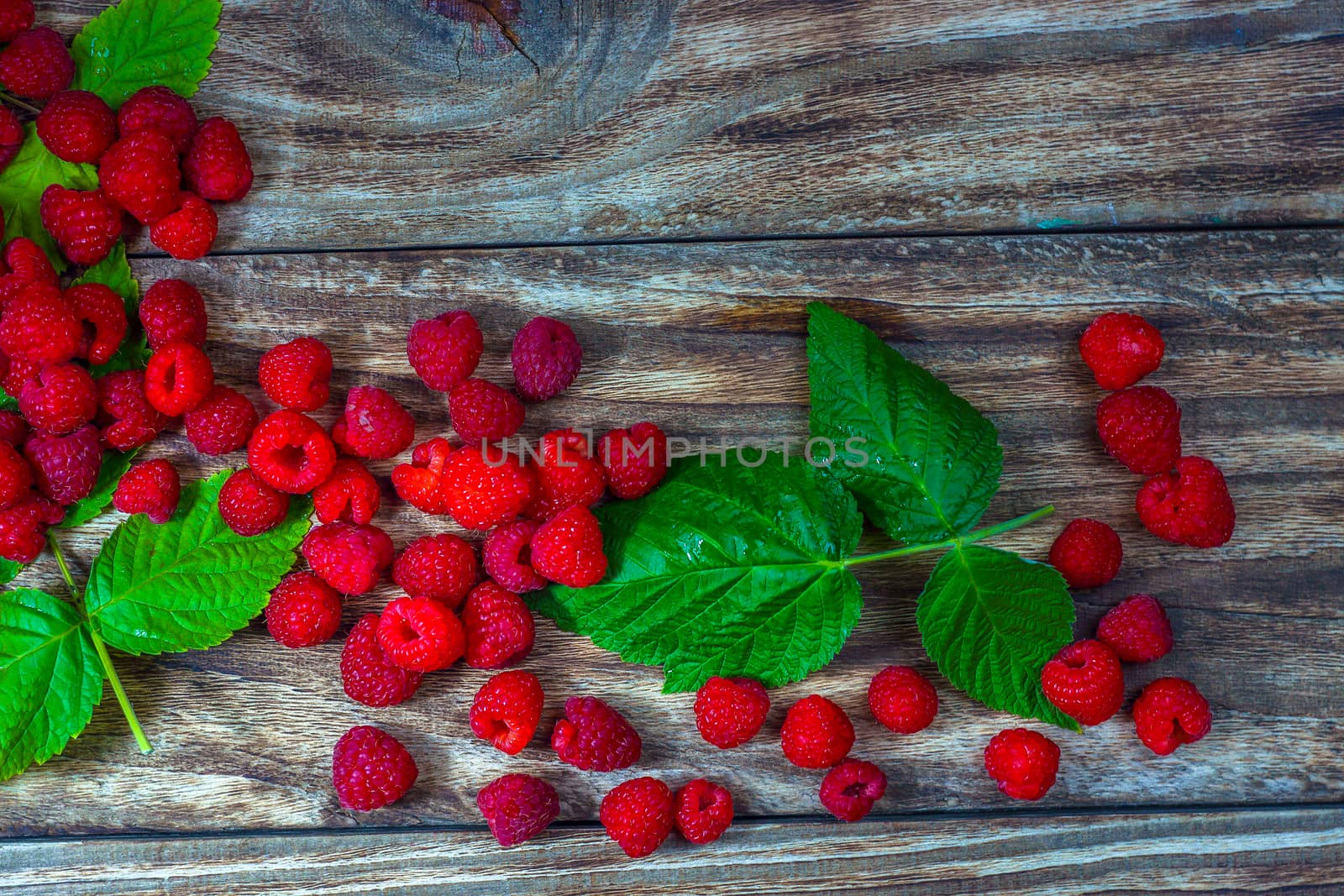 Red fresh raspberries on a rustic wood background. Natural ripe organic berries with peduncles, green leaves, top view, flat lay with copy space.