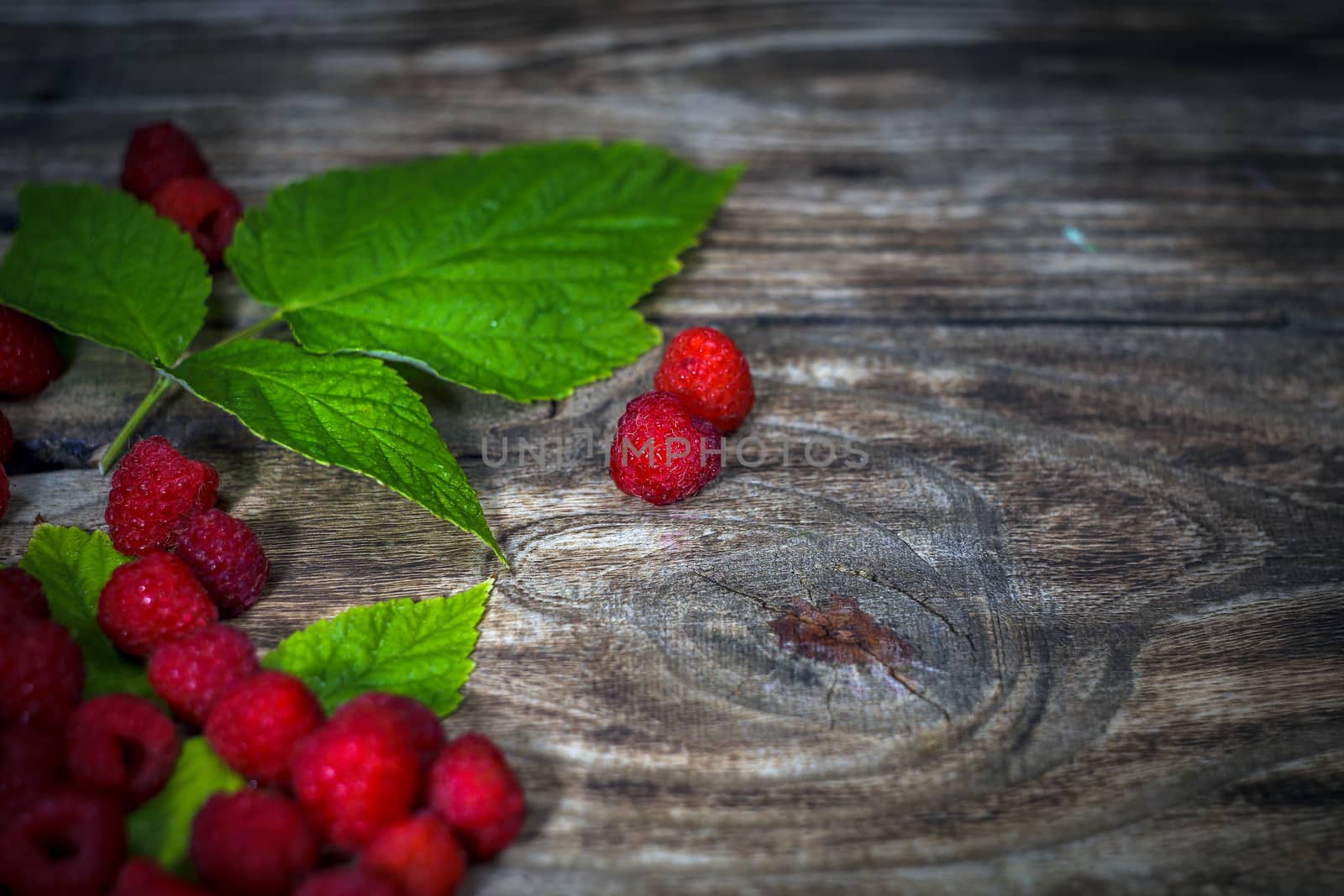 Fresh raspberries background close-up photo. Fresh raspberries on a rustic wooden table. Selective focus.