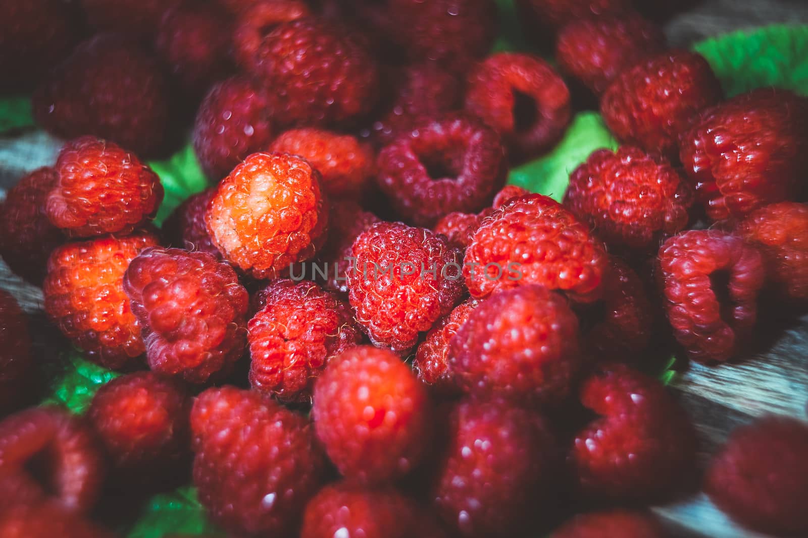Raspberries close up view. Macro photo raspberry. Natural ripe organic berries with peduncles, green leaves, top view.