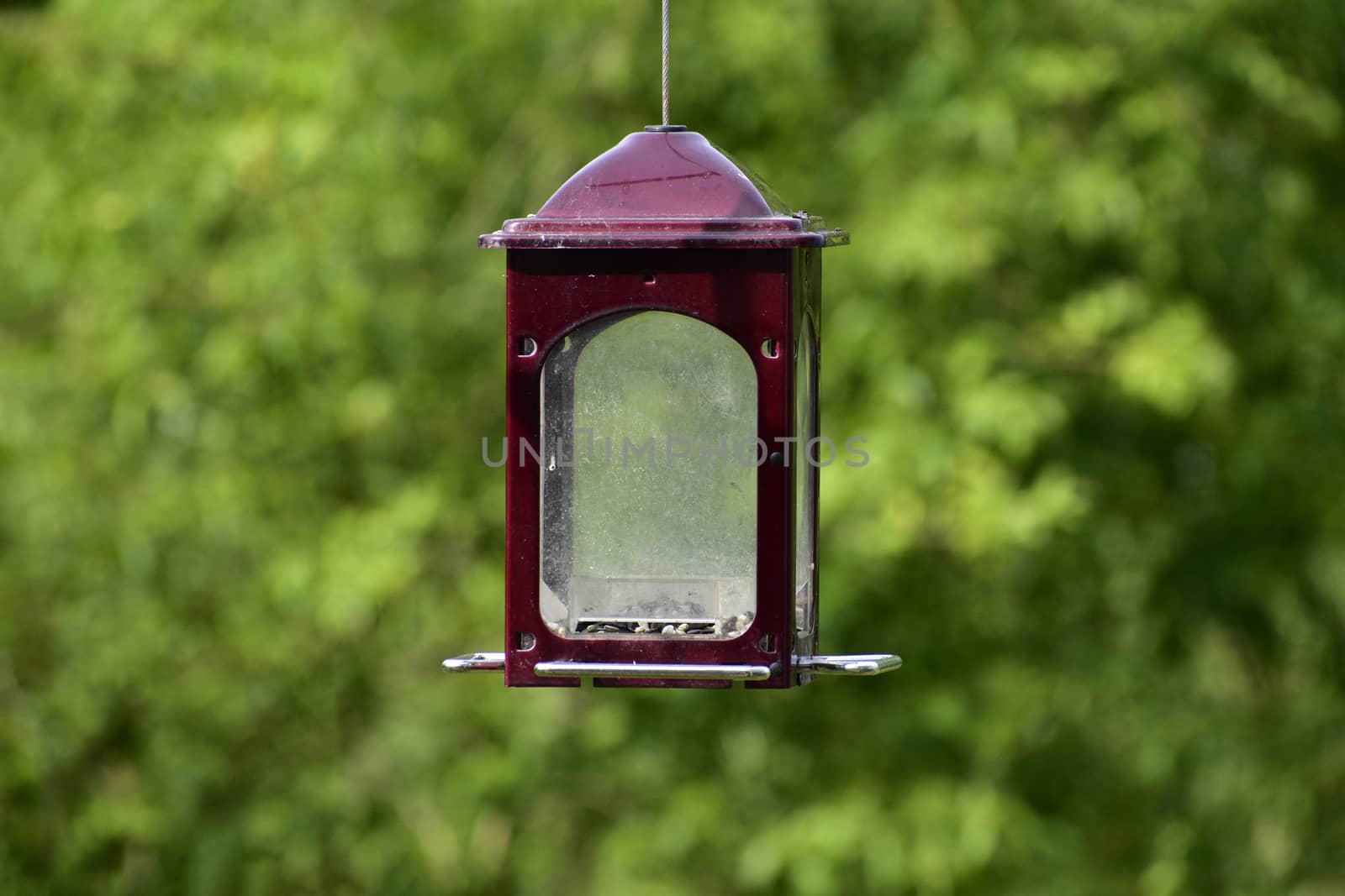 Almost Empty Bird Feeder With Copy Space by stockbuster1