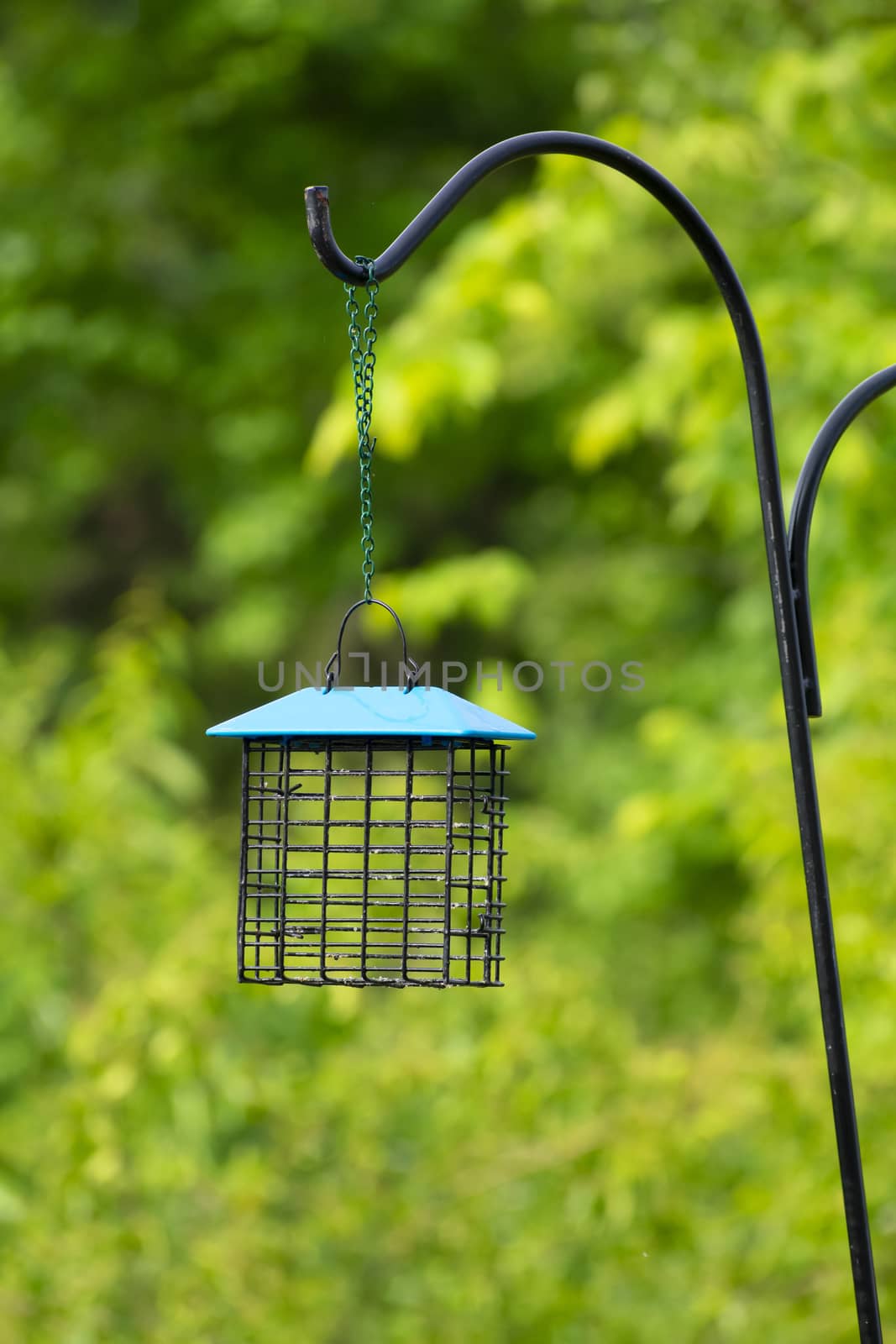 Vertical shot of a completely empty hanging bird feeder with out of focus greenery behind it.