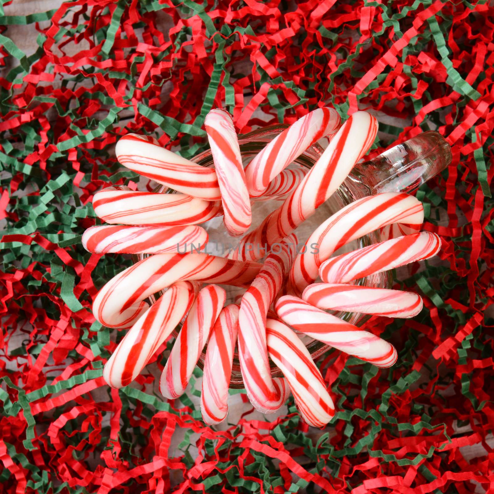 A high angle view of a glass jar full of candy canes. The jar is surrounded by shredded red and green crepe paper. Square Format.