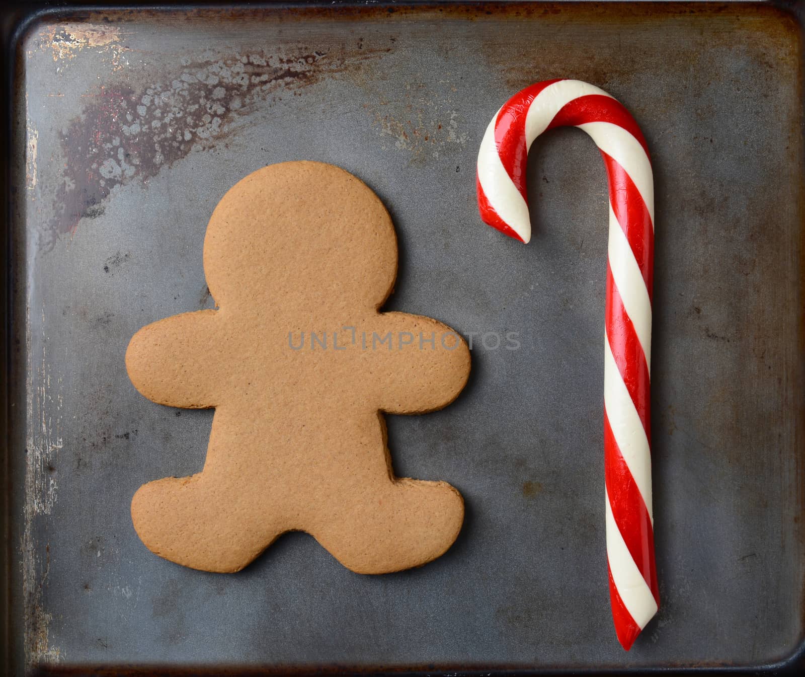 Closeup of an old fashioned candy cane and a gingerbread man on a metal cookie sheet. The cookie is undecorated. Square format.