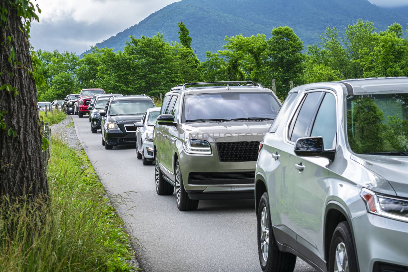 Horizontal shot of heavy summer traffic in the Smoky Mountains.