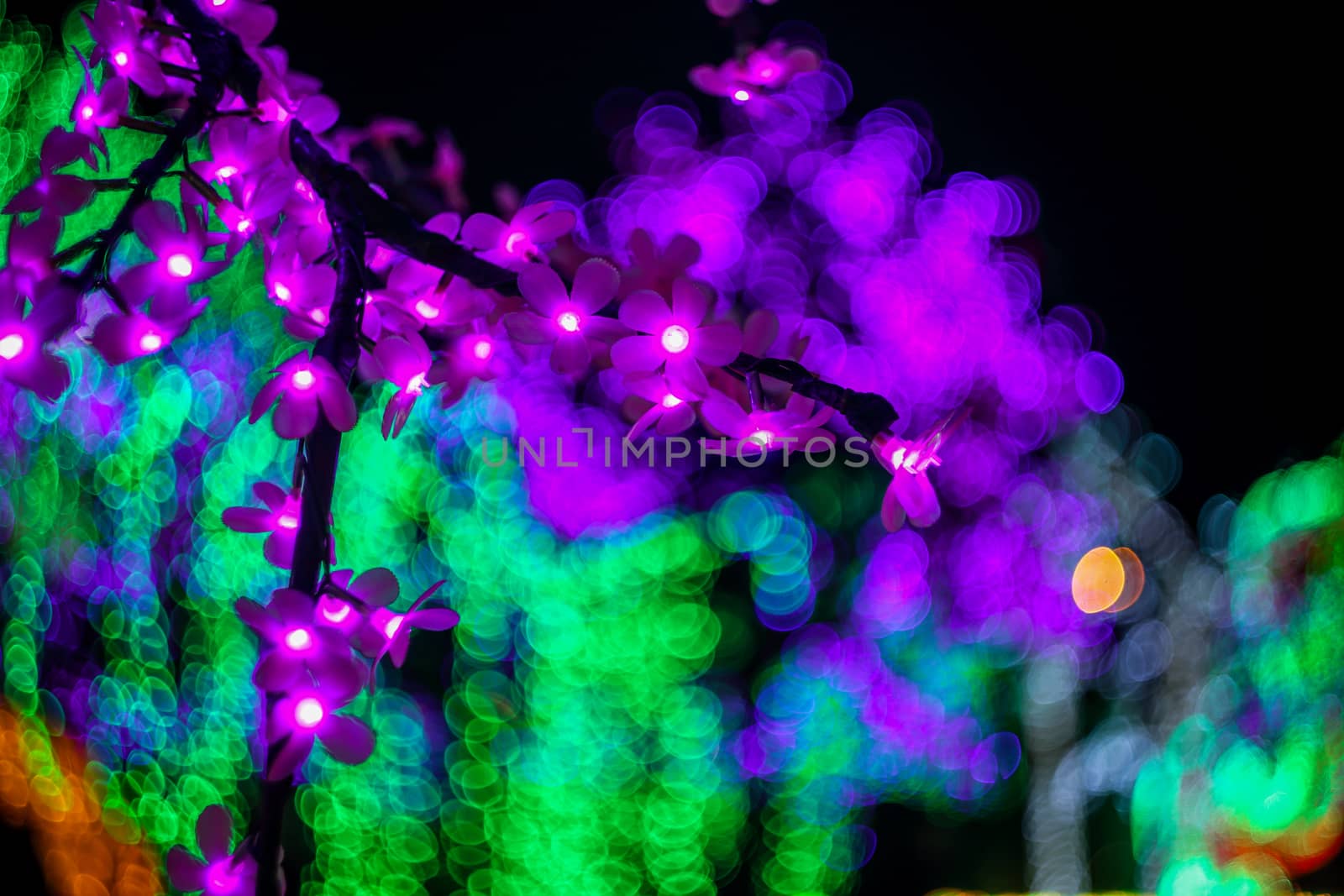 Sakura branch. Abstract background with bubble bokeh defocused lights. Majestic tree of lights. Fantastic forest.  