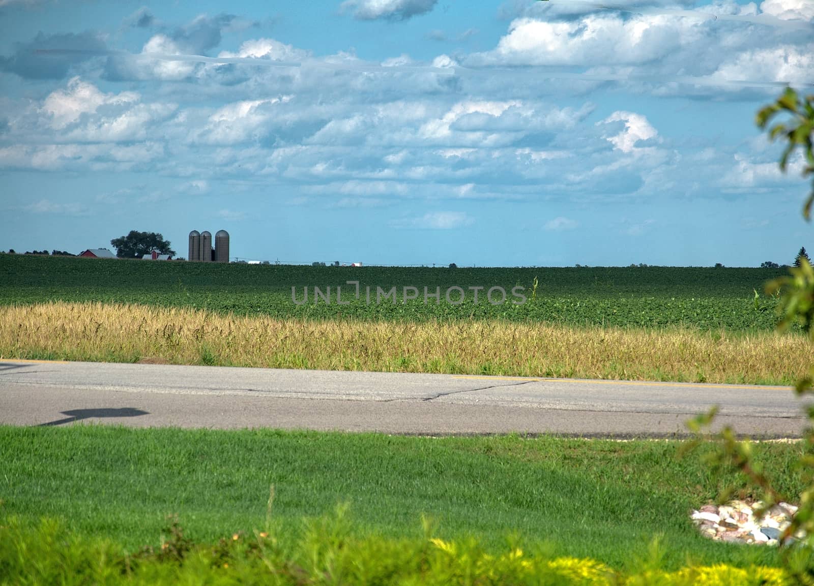 This is a farm field with silos and soybeans on a bright day.