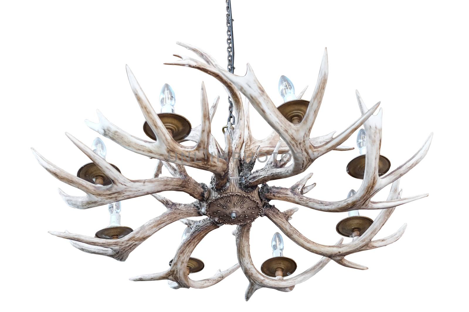 Bone chandelier on white background by Surasak