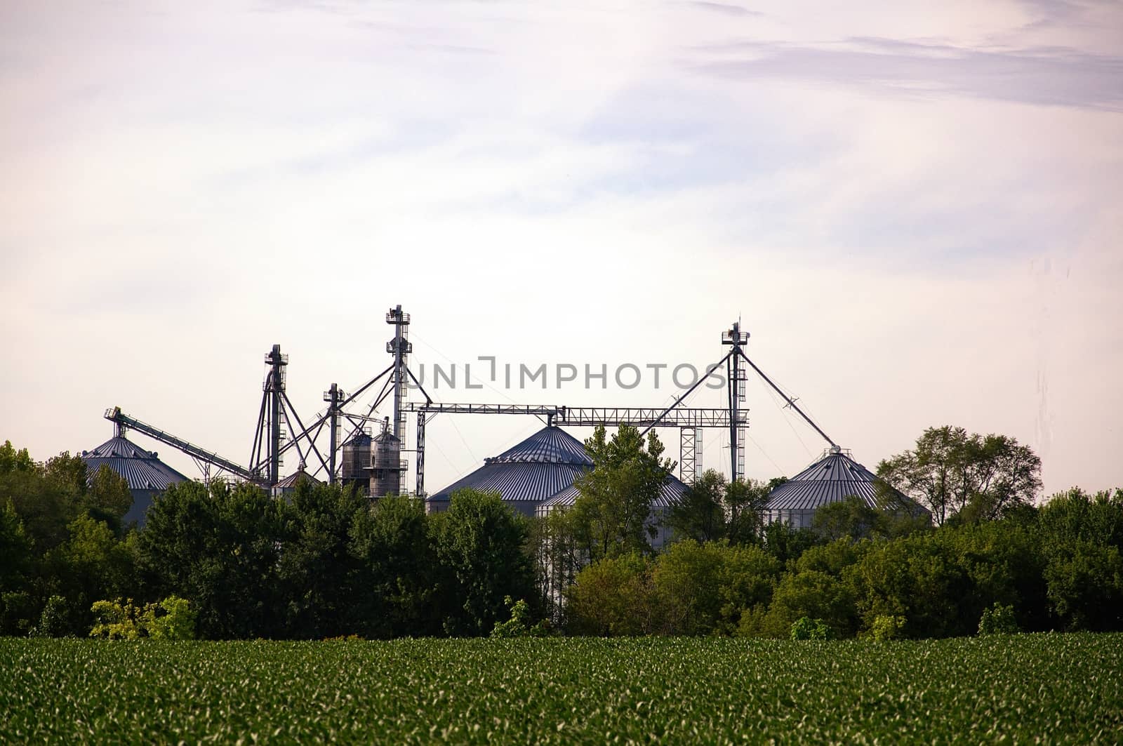 These are grain storage facilities awaiting the local crops on a summer day.