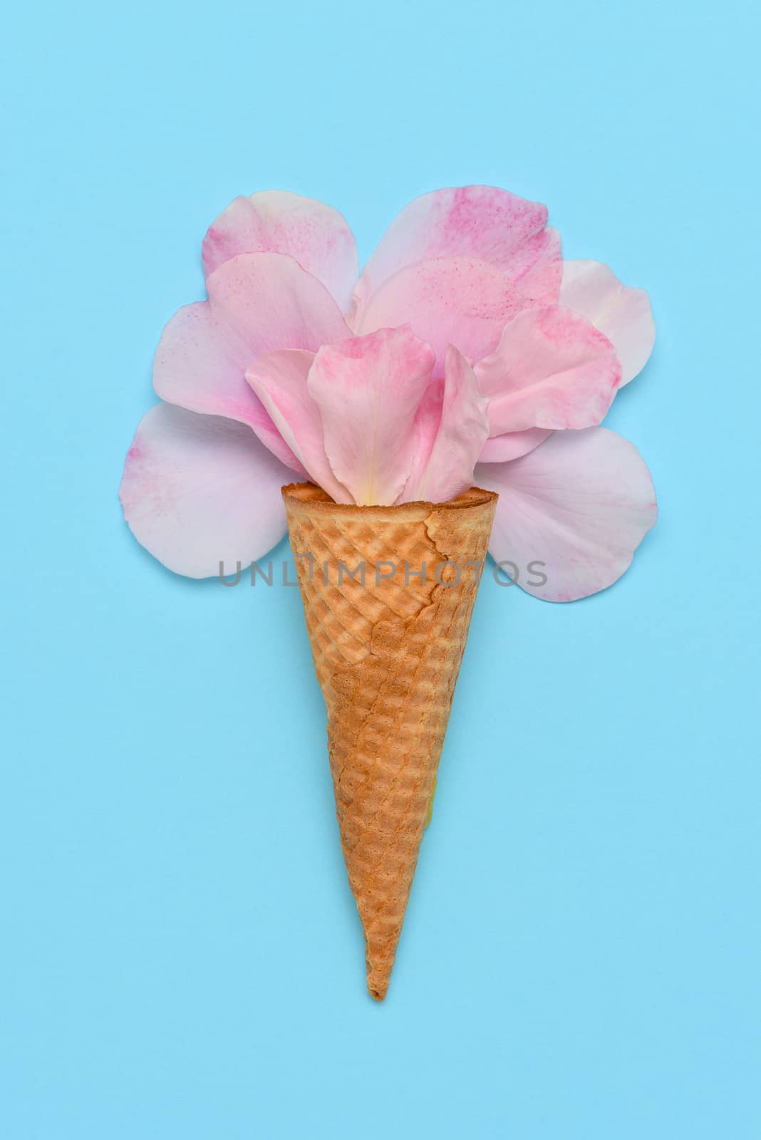Pink Rose petals in an Ice Cream Cone on a blue background. Flat lay minimalist styling. 