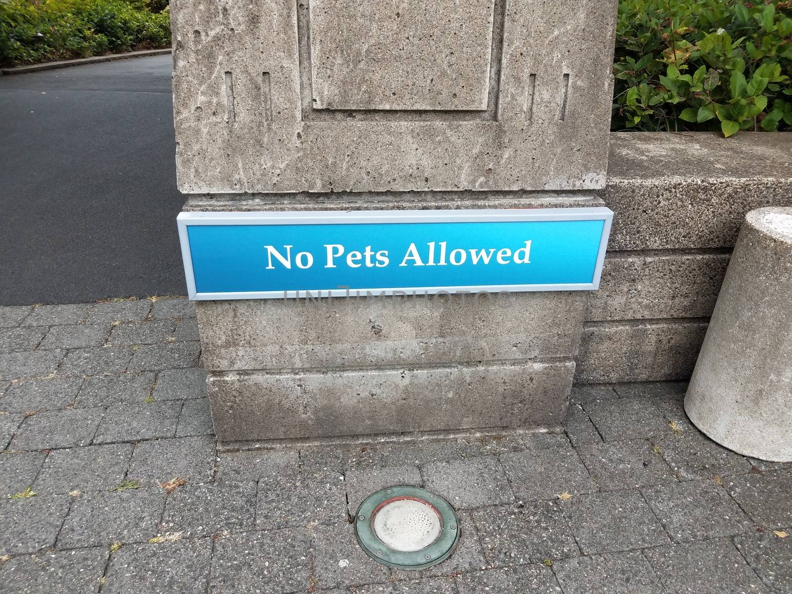 blue no pets allowed sign on cement wall by stockphotofan1