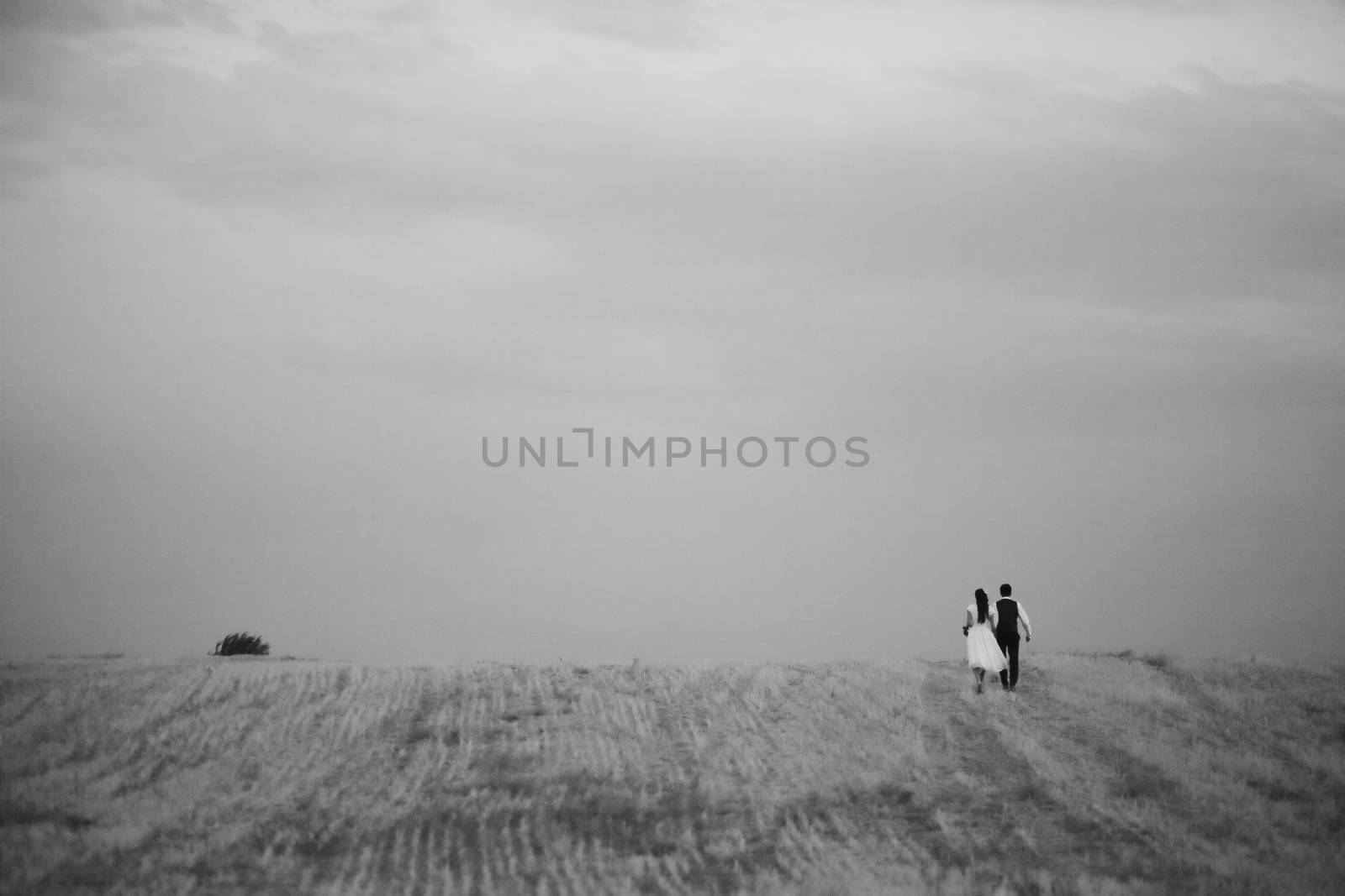 Wedding. Bride and groom hold hands and meet the sunset. A beautiful couple. High quality photo
