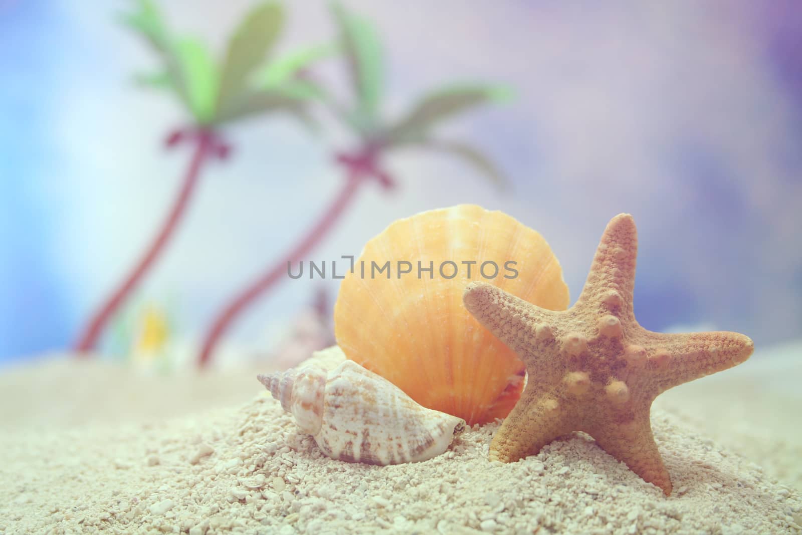 Tropical Beach With seashells in Bright Sunlight by Marti157900